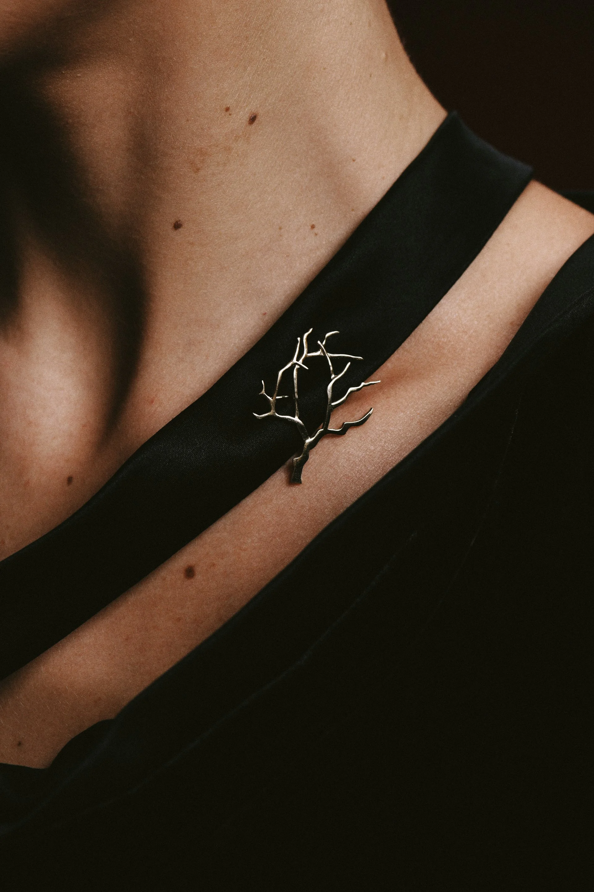 Leca Novo para Abigail Roiz