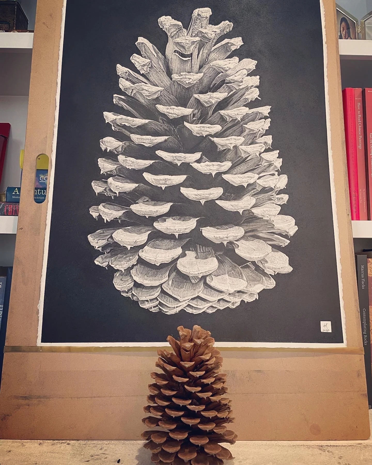 Pinecone_detail.jpg