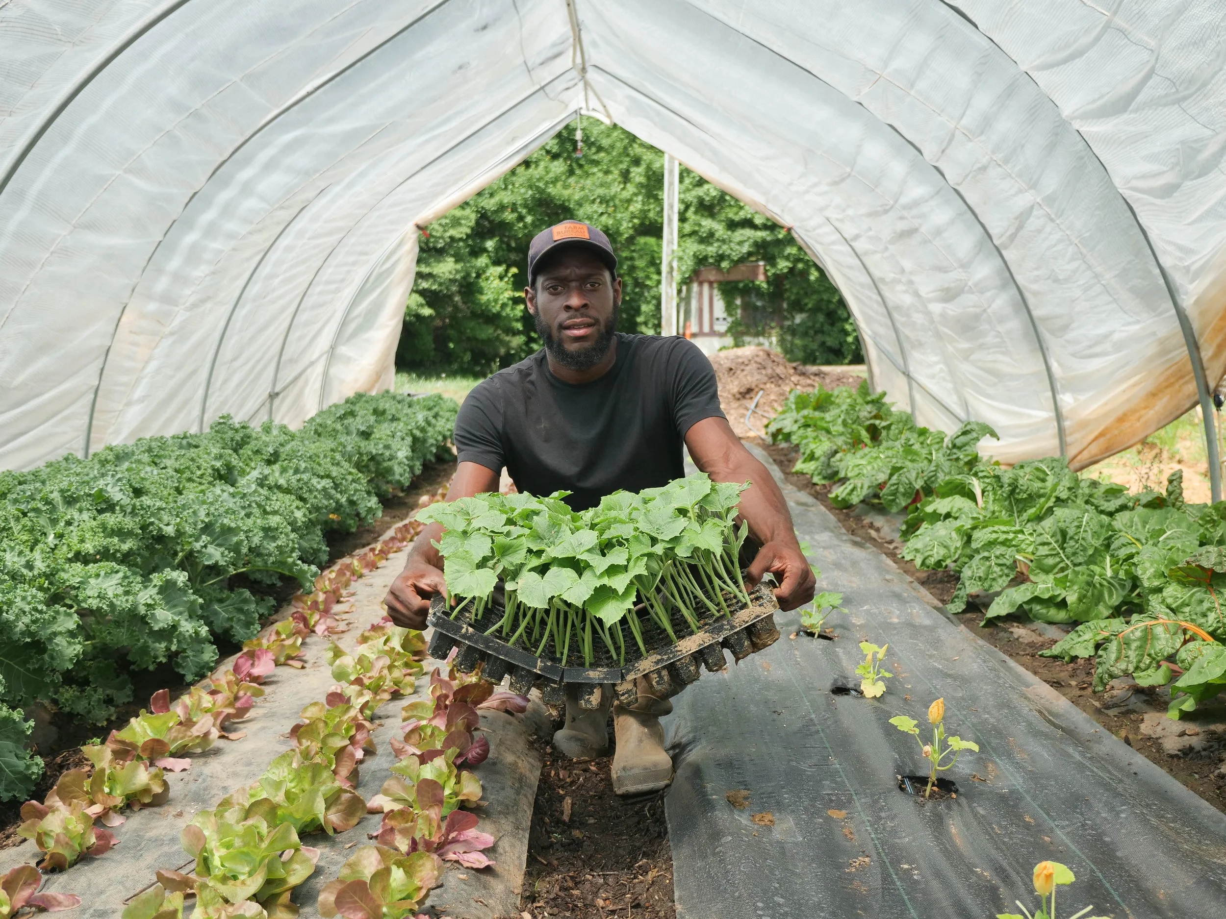 CSA Weekly Half Share