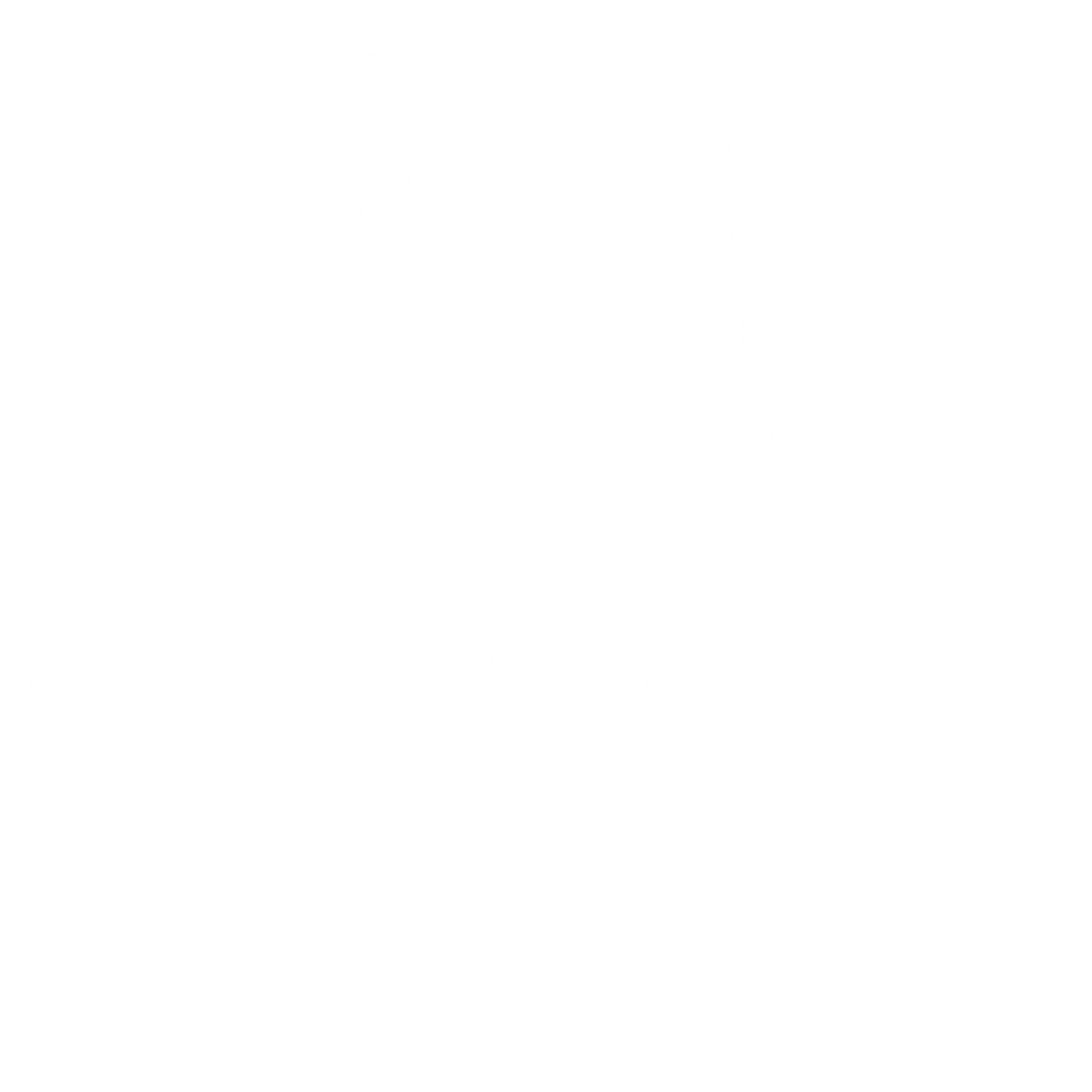 Sankofa Saves 