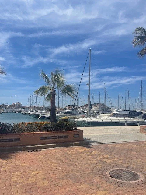 Denia Haven met vele restaurants