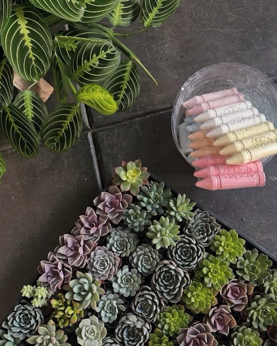 Since CRAFTED isn&rsquo;t open today, we&rsquo;re wandering around @downtownsanpedro and supporting other small businesses we love 🤍