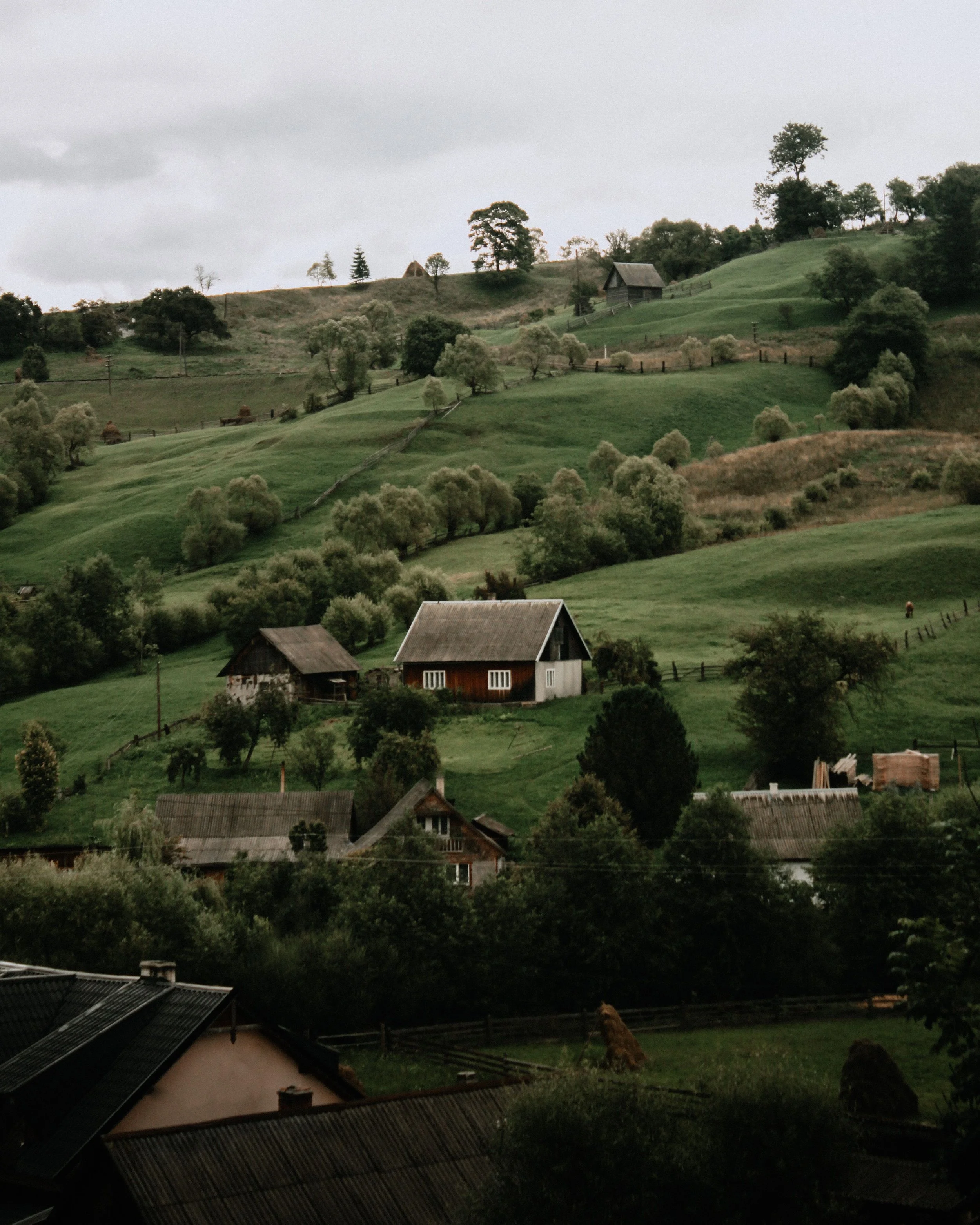 A rural landscape with rolling green hills, scattered trees, and wooden houses with roofs. The sky is overcast, and power lines are visible across the scene.