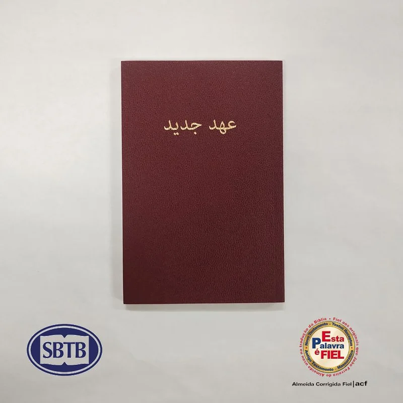 Prancheta 1FASNT.jpg