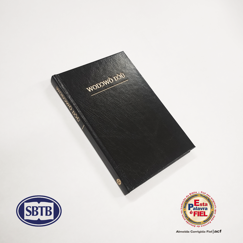 Novo Testamento Dan - cód. 7316