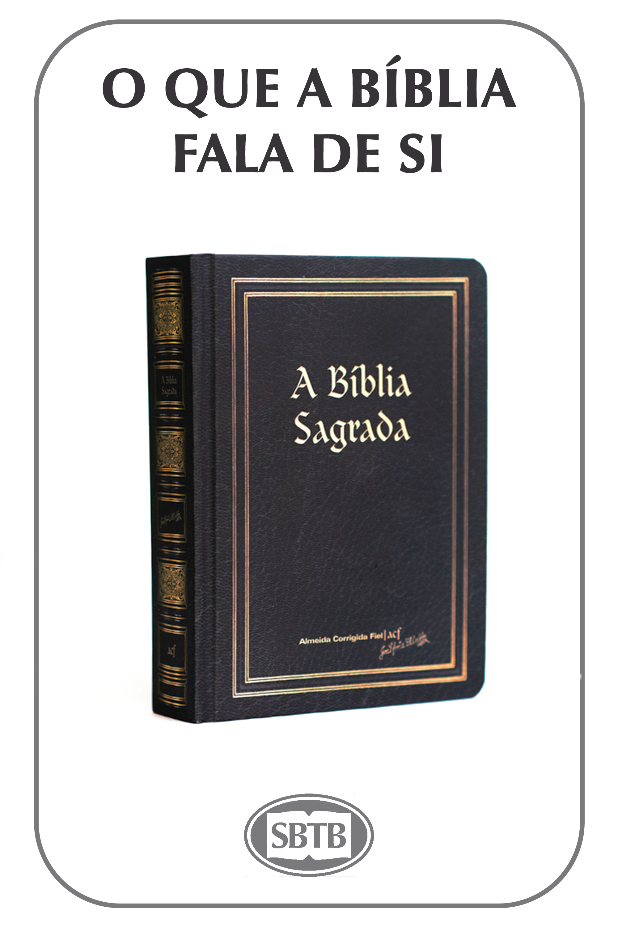 O QUE A BÍBLIA FALA DE SI