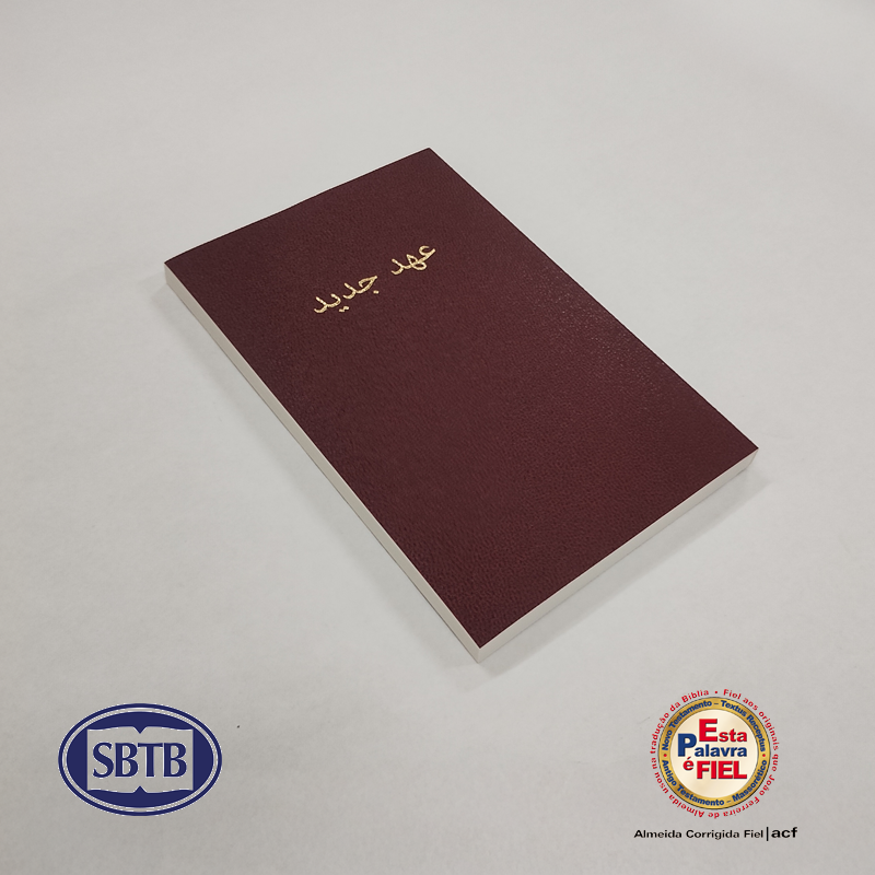 Prancheta 2FASNT.png