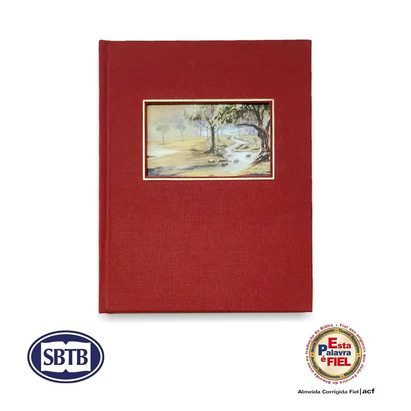 Bíblia ACF Leitura Perfeita com Espaço para Anotações - Capa Dura Tecido - cód. 6082