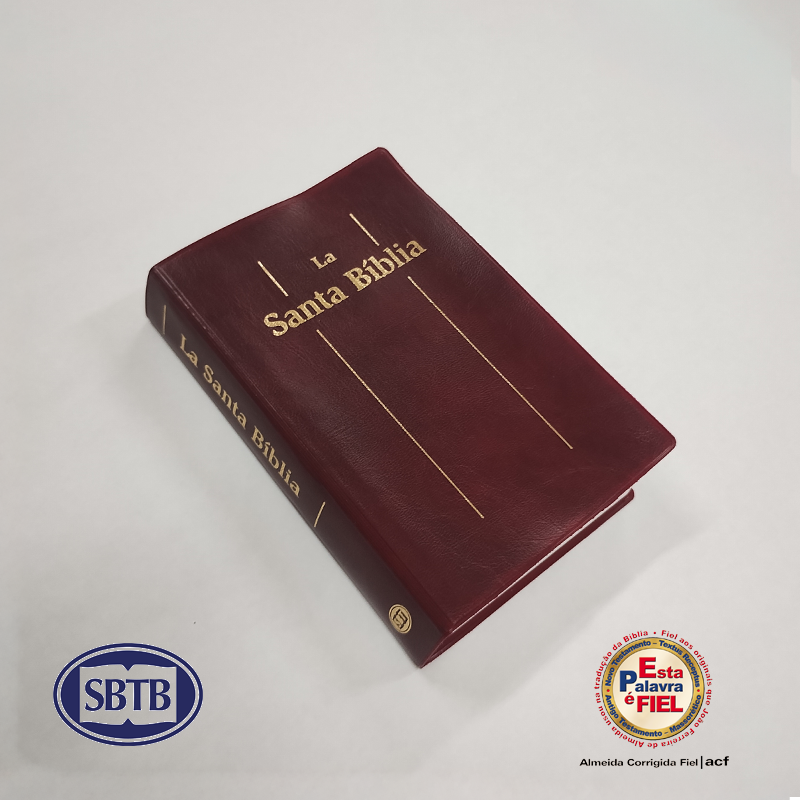 Prancheta 2CATB2.png