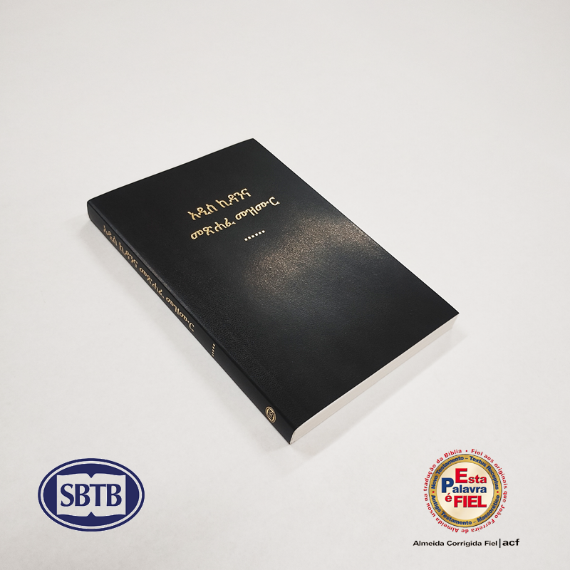 Prancheta 2AMHNTP.png