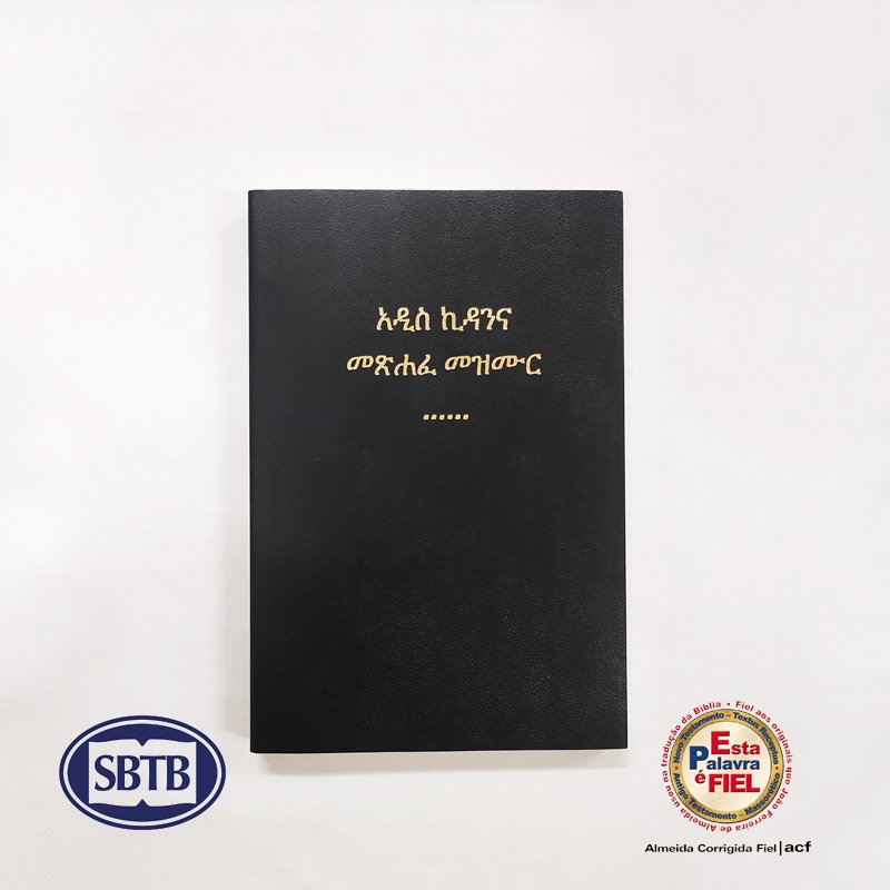 Prancheta 1AMHNTP.jpg