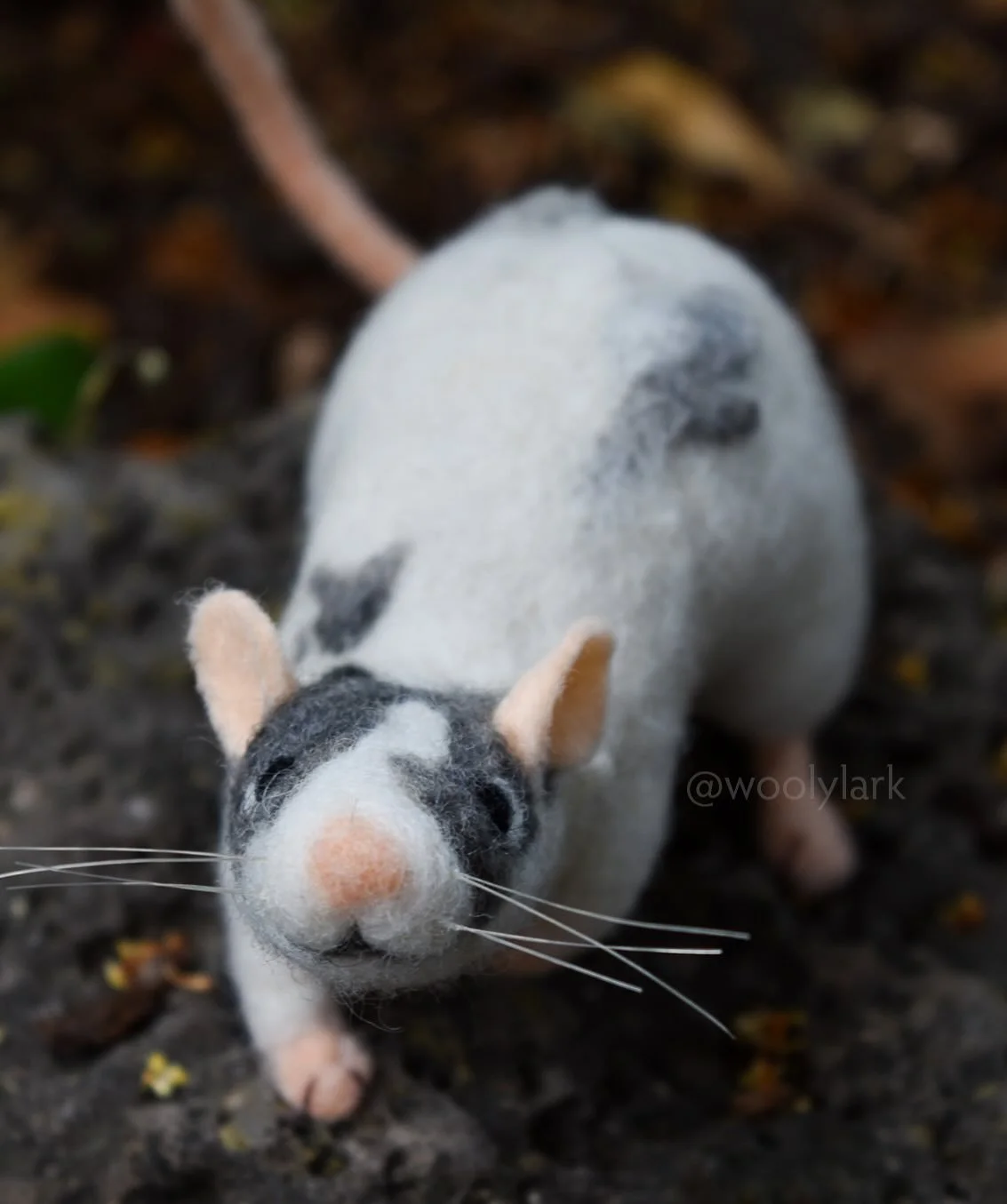 Every time I sat down to work on &ldquo;friend shaped rat,&rdquo; I knew I could do no better than this needle felt figure I made over the summer, the photoshoot for which I finally finished editing (hey! Still completed in october right? 😂 )
I real