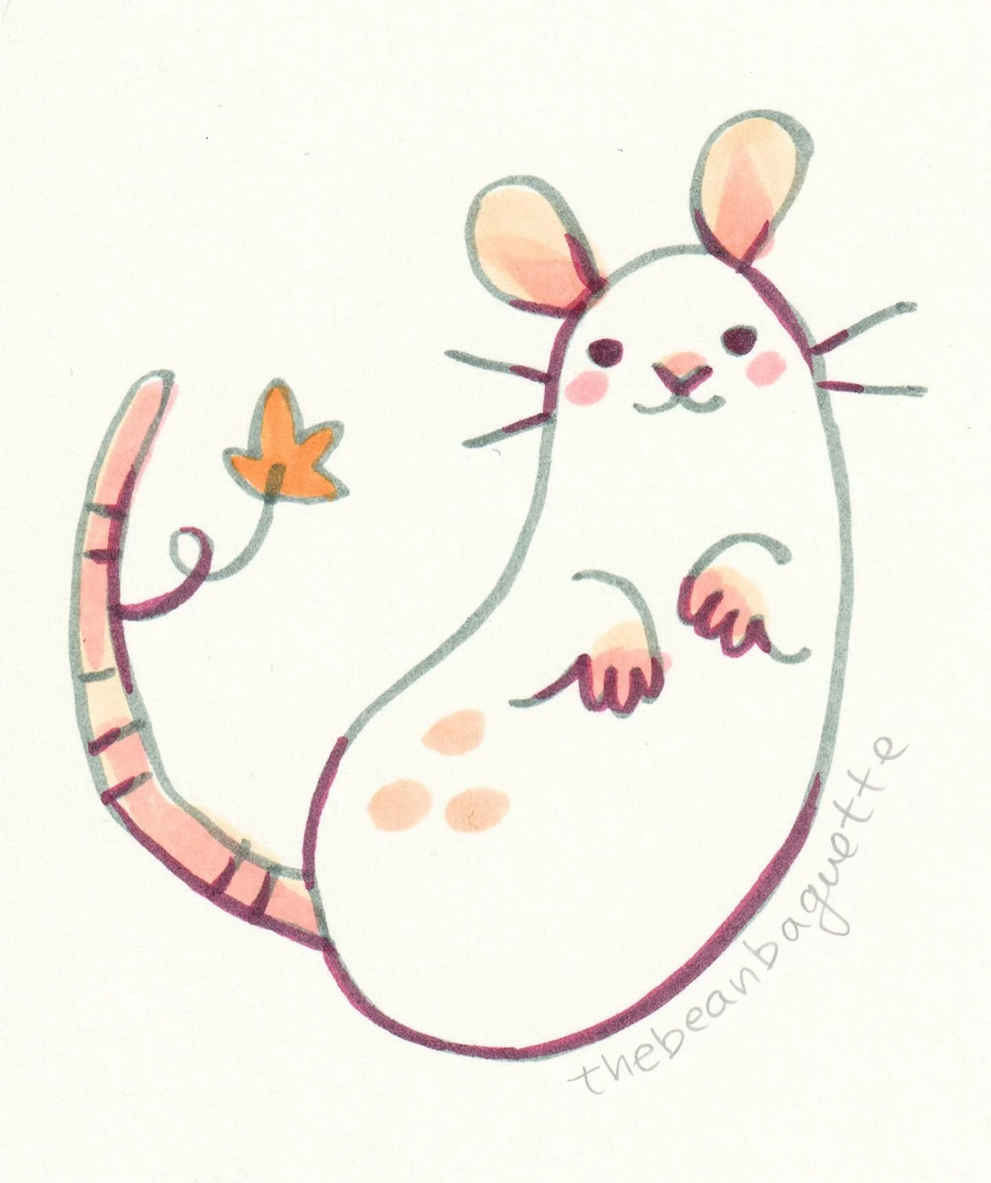 Gourd rat!

I have to admit that I overbooked myself this season, and have had very little energy left for Rattober. That makes me feel so guilty as a host, and it&rsquo;s not even the first year (!!!) this has happened. Frankly I think hosting has m