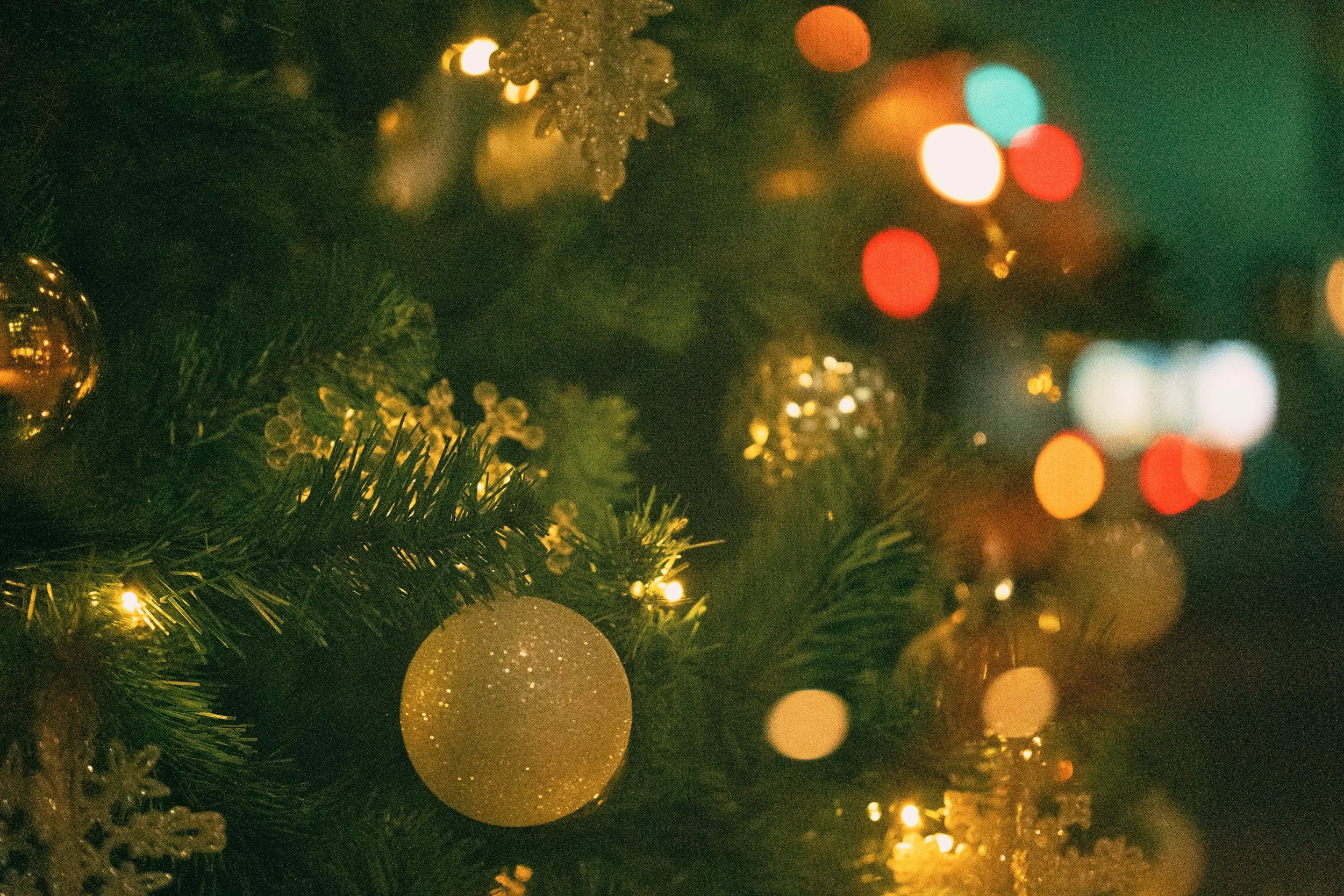 Canyon Coffee's Holiday Soiree!