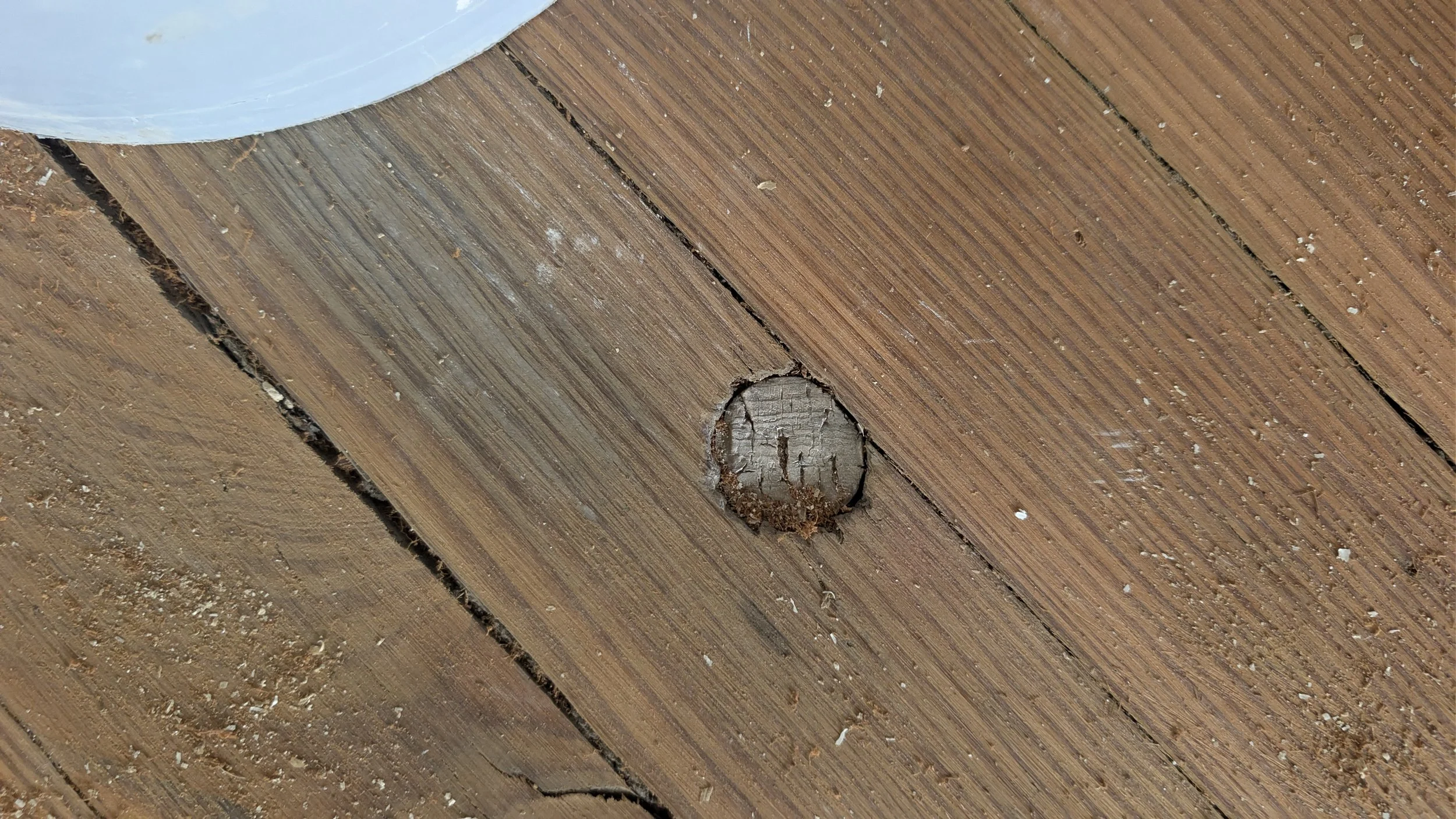 PXL_20260505_205929973.jpg