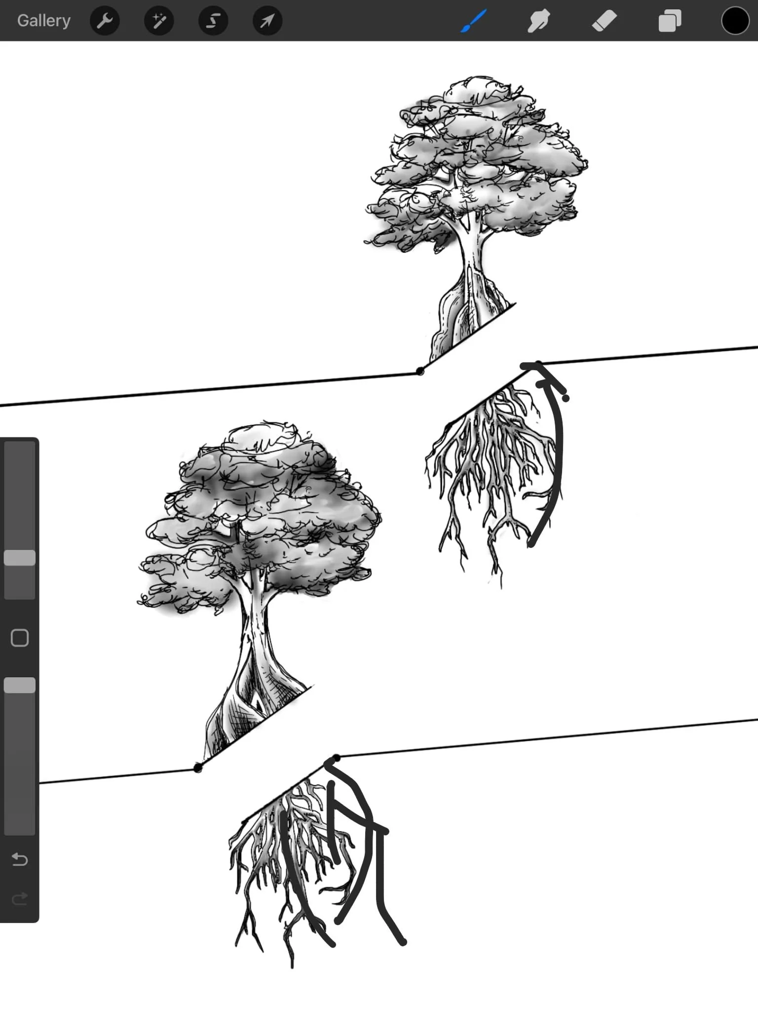 Tree of Life Roots Separated from Trunk But Still Connected By Line
