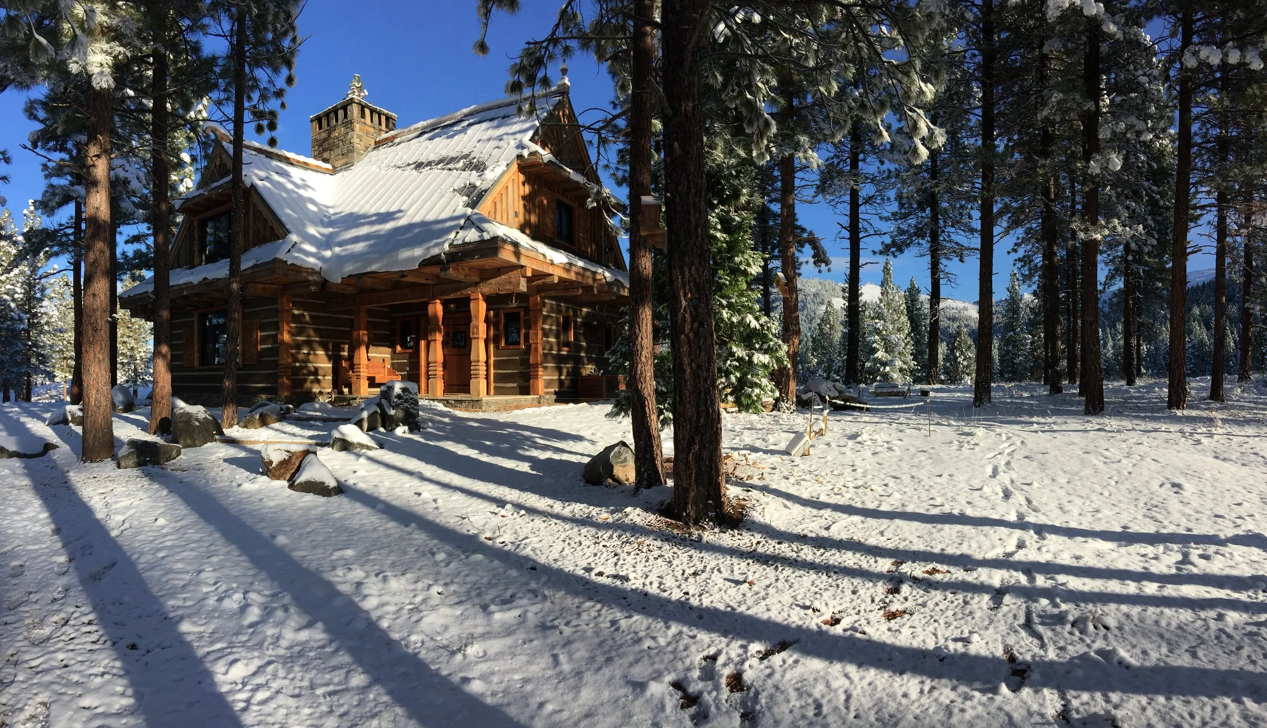 A wooden cabin in a snowy forest with tall pine trees, snow-covered ground, and clear blue sky in the background.