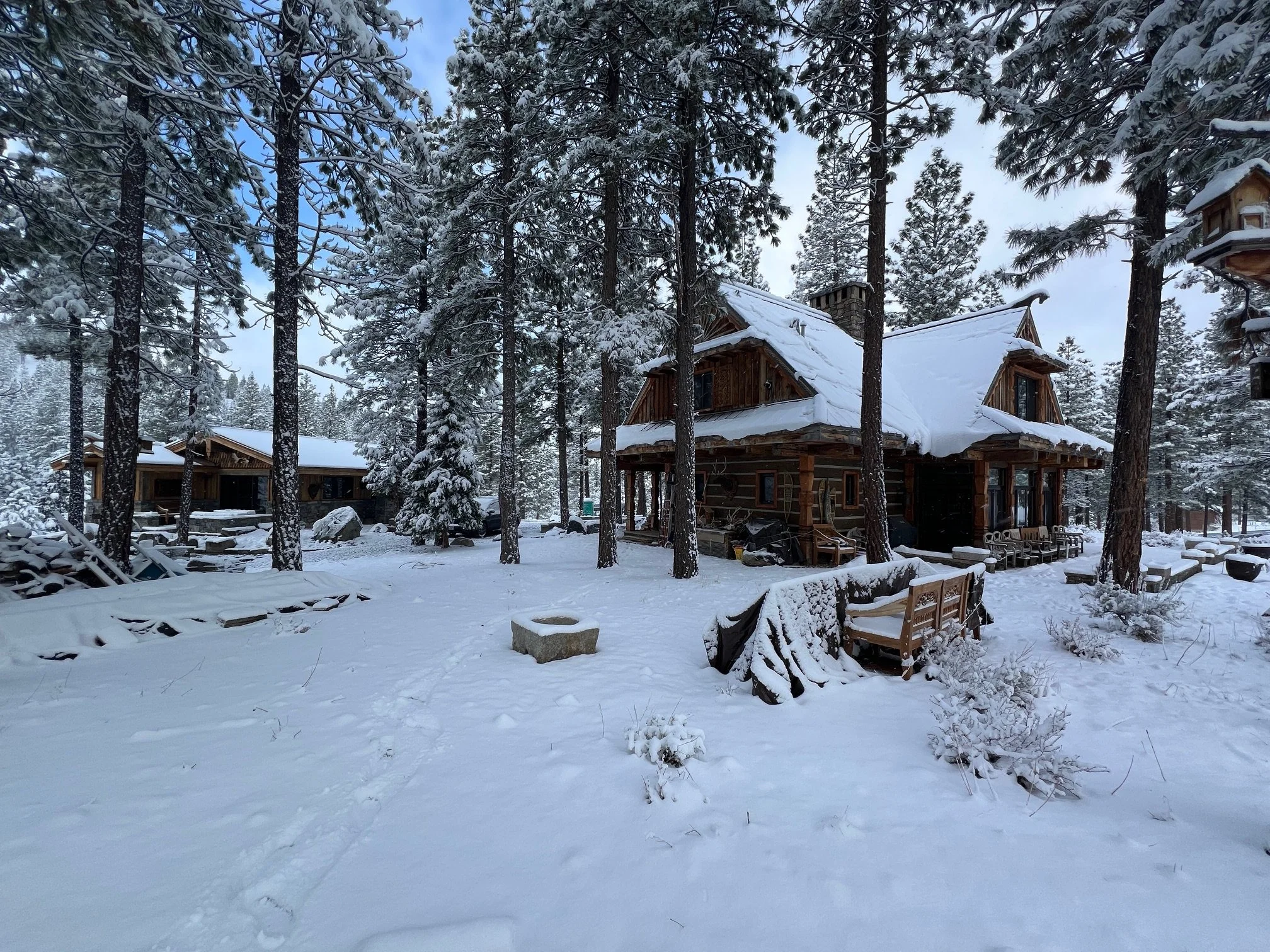 A snow-covered wooden house in a forest with tall pine trees, snow on the ground, and benches and a stone in the yard.