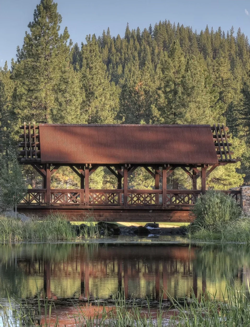 A wooden covered bridge crossing a small creek, surrounded by tall grass and trees with a forested hillside in the background.