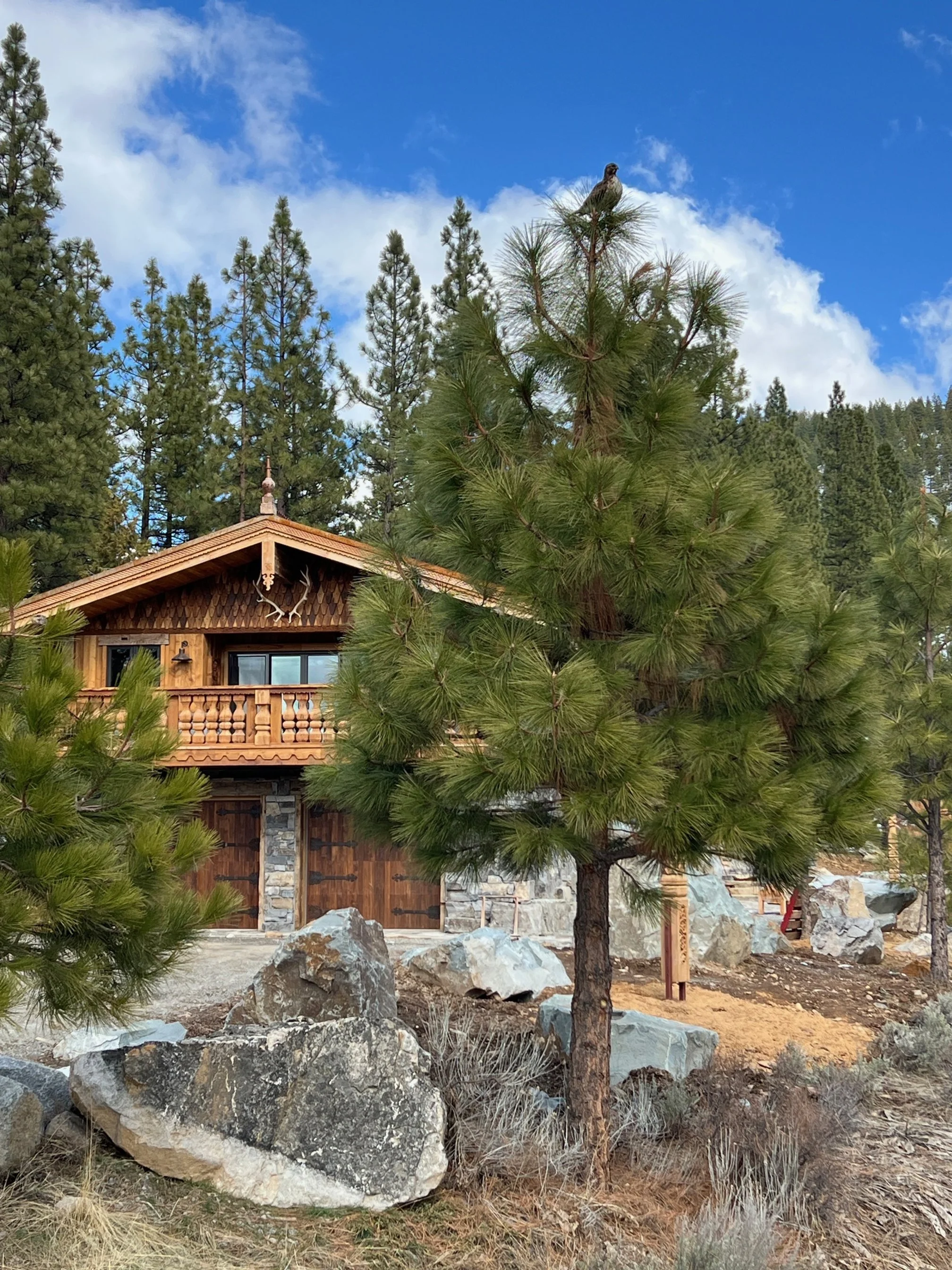 A wooden cabin with a balcony, surrounded by rocks and trees, with a bird perched on top of a pine tree in the foreground. Forested hillside and blue sky with clouds in background.