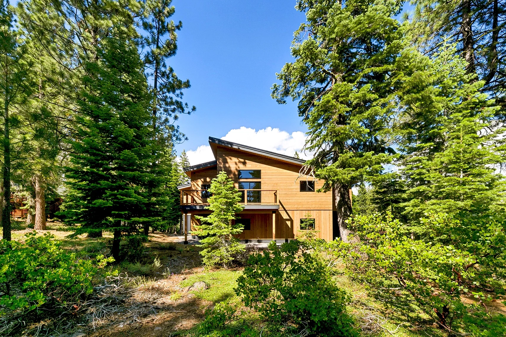 Modern two-story wood-clad home surrounded by tall evergreen trees, featuring a sloped roof, second-story balcony, and large windows.