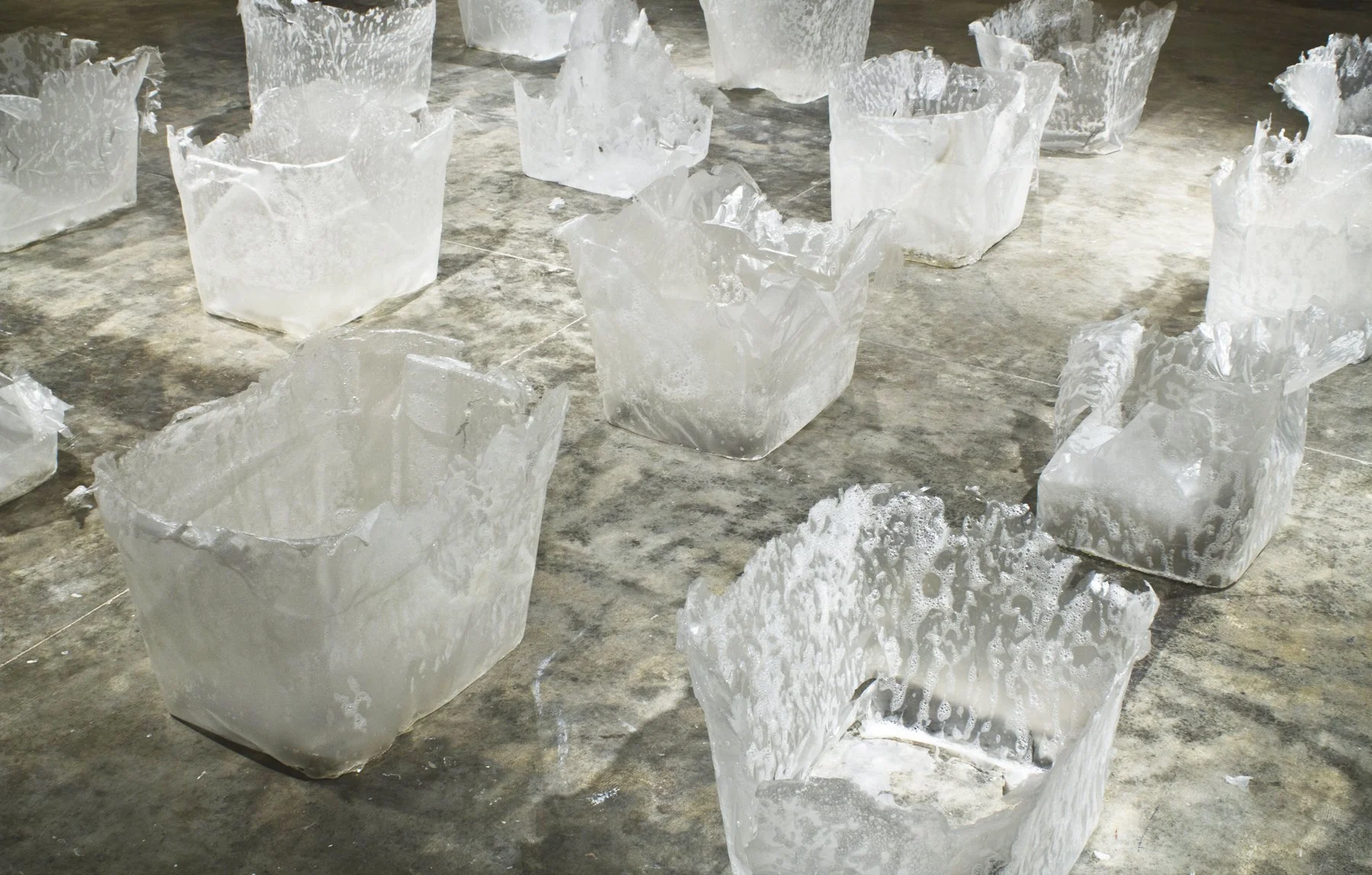 bins, dehydrated gelatin, 2013