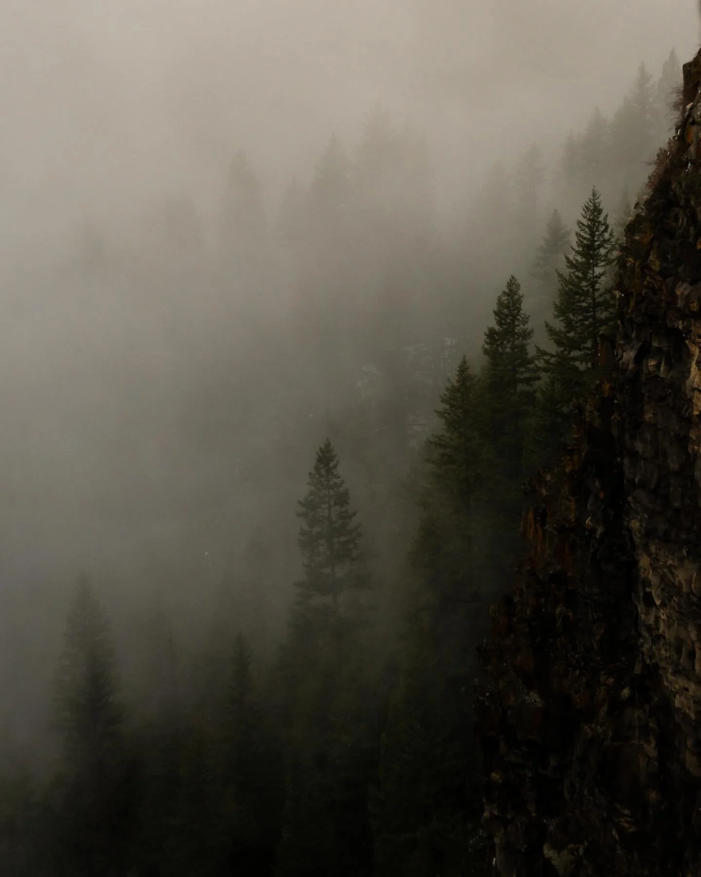 We believe that photographers grow most when they&rsquo;re supported, challenged and immersed in landscapes that stir something real.&nbsp;

Over the Fall and Winter we took a step back to reimagine how our experiences support, challenge and inspire 