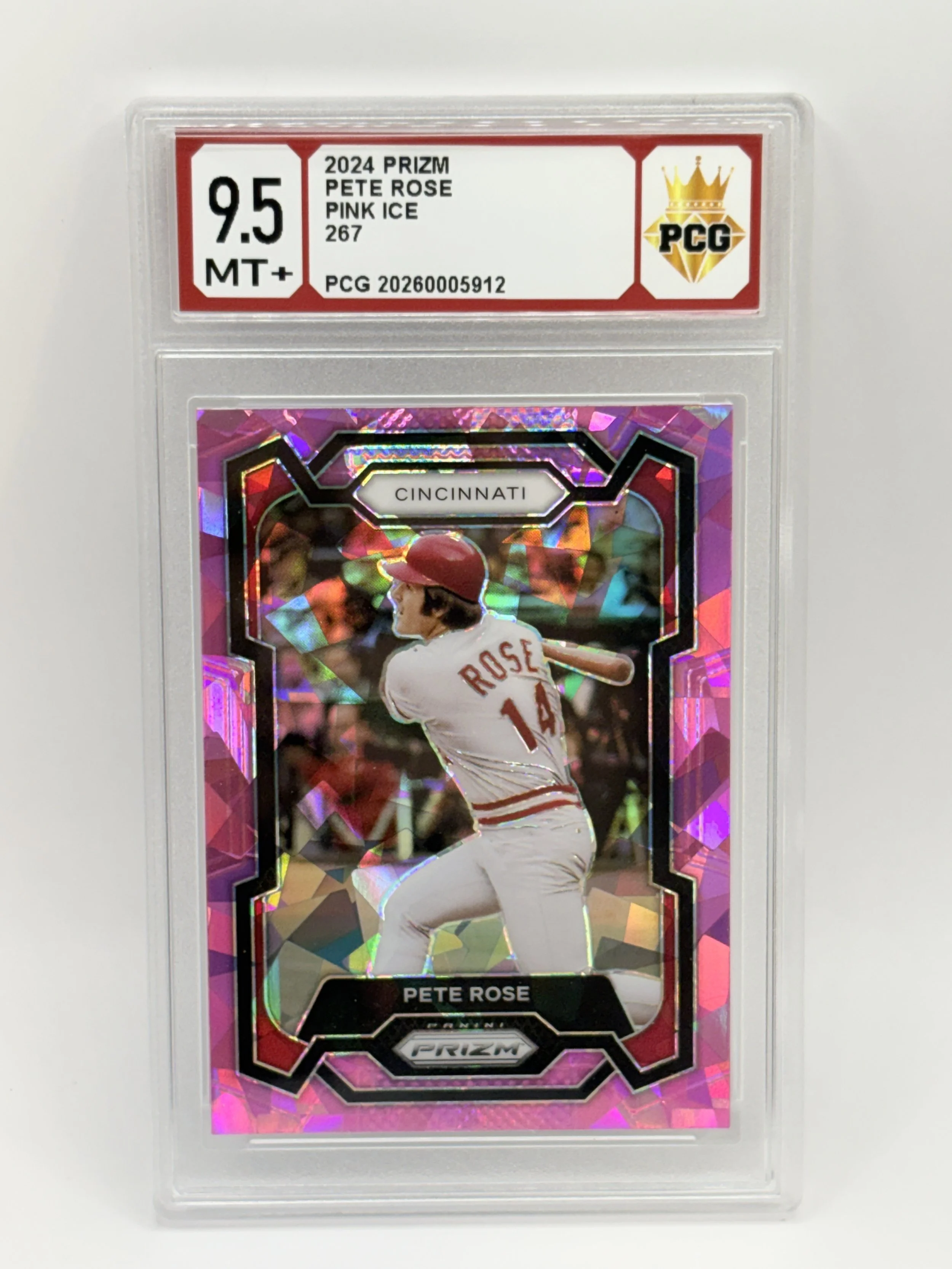 #20260005912 2024 PETE ROSE 9.5 MT+