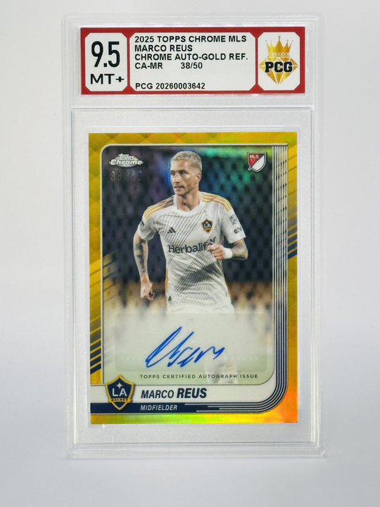 #20260003642 2025 MARCO REUS 9.5 MT+
