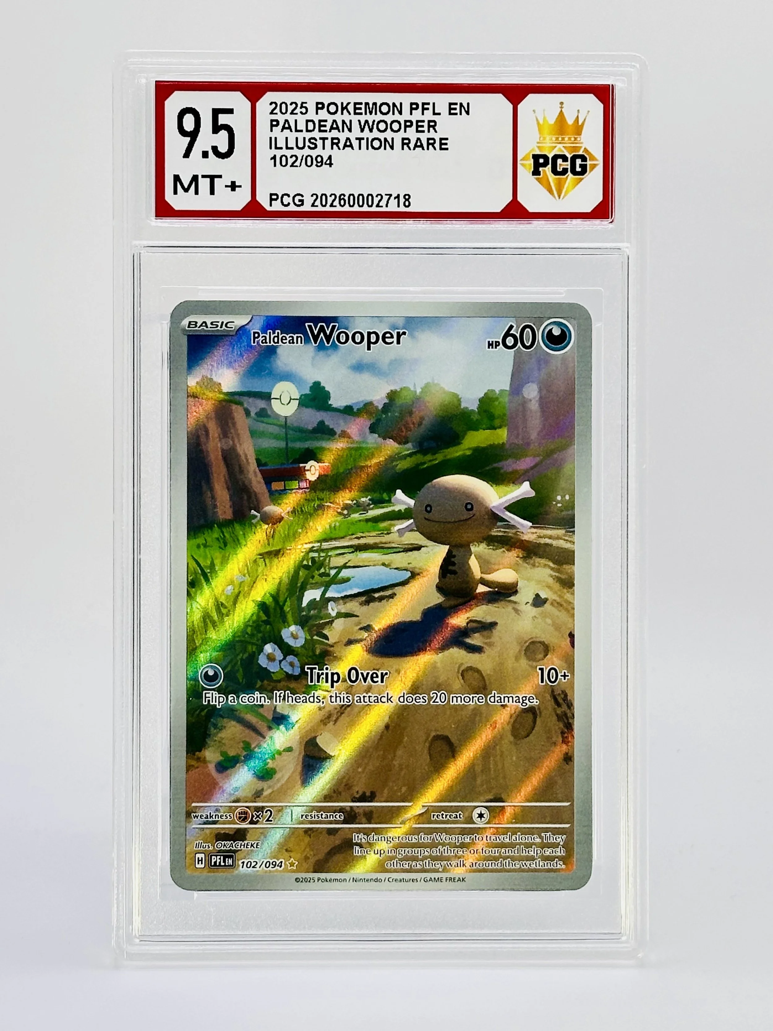 #20260002718 2025 PALDEAN WOOPER 9.5 MT+
