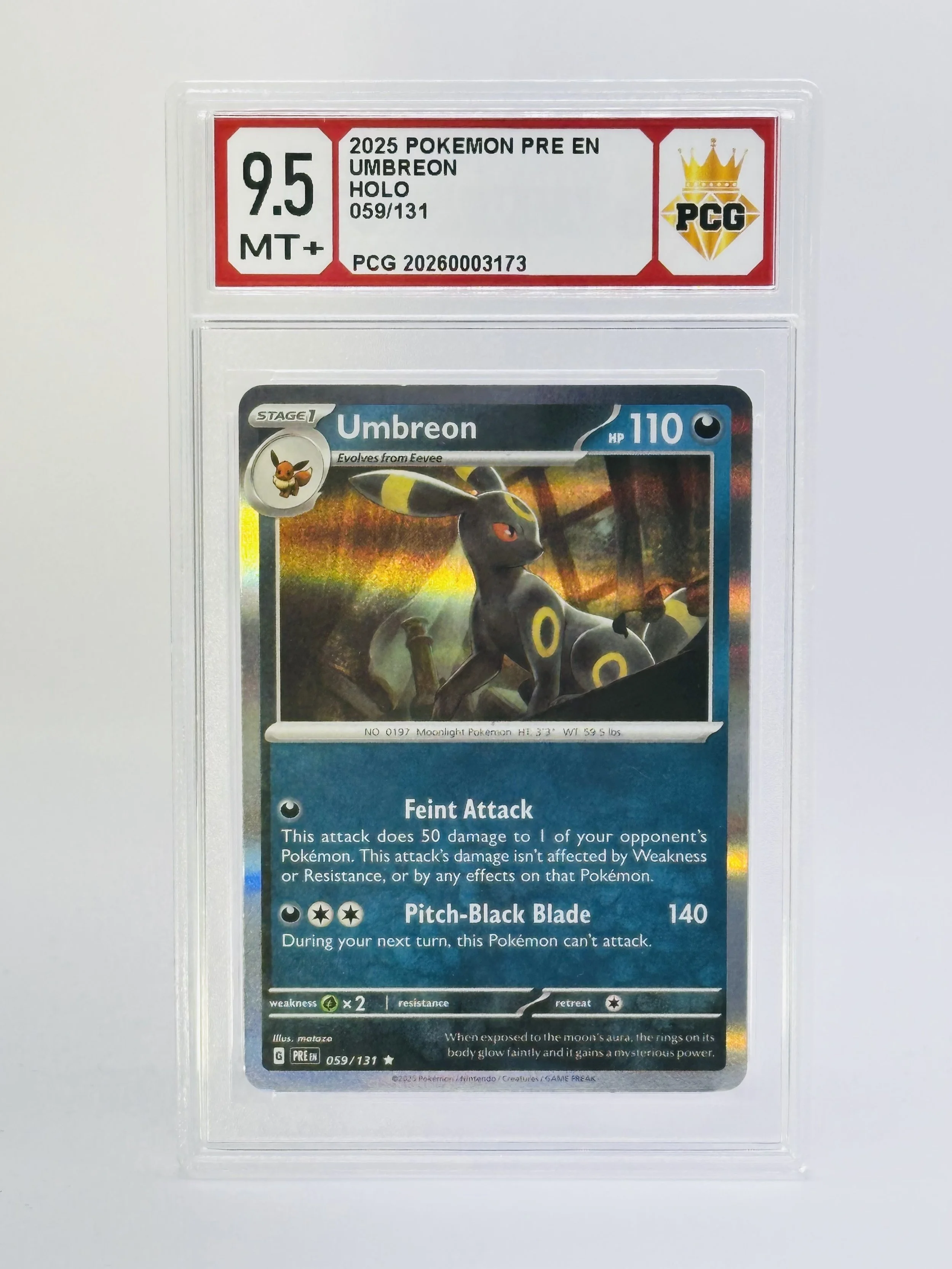#20260003171 2025 UMBREON 9.5 MT+