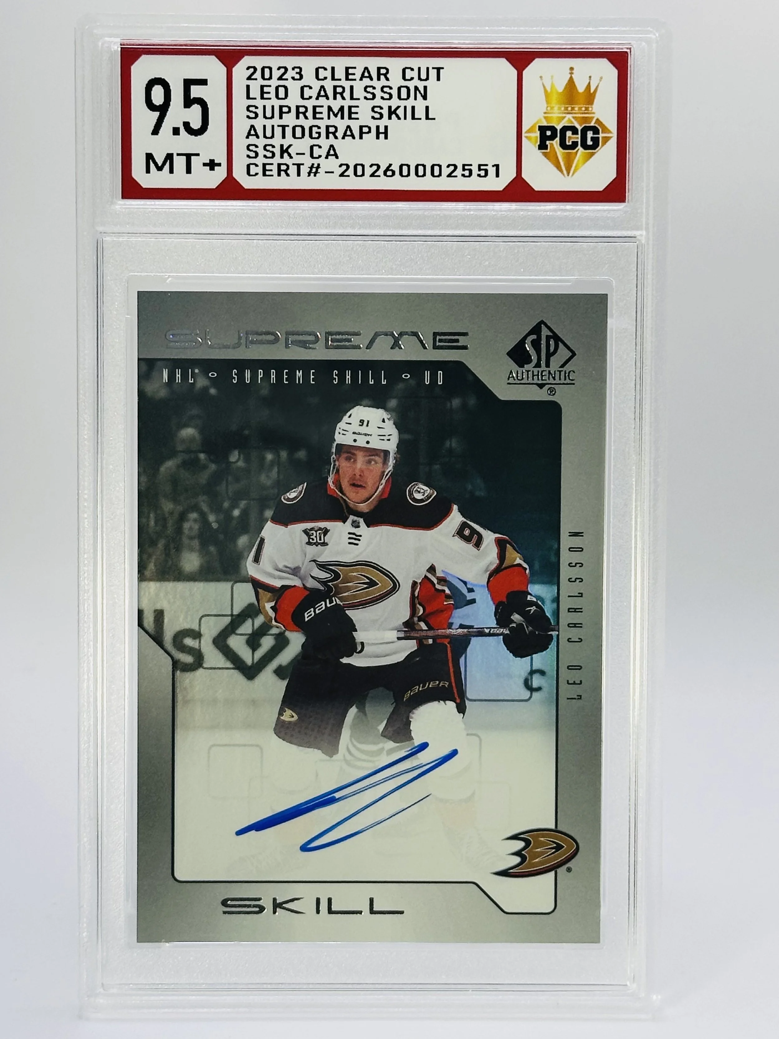 #20260002551 2023 LED CARLSSON 9.5 MT+