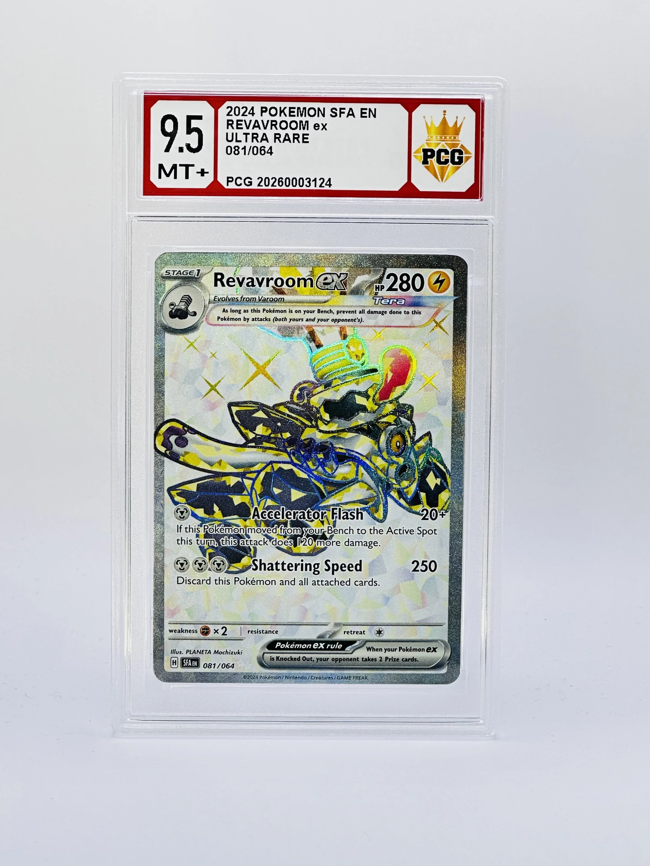 #20260003124 2024 REVAVROOM EX 9.5 MT+