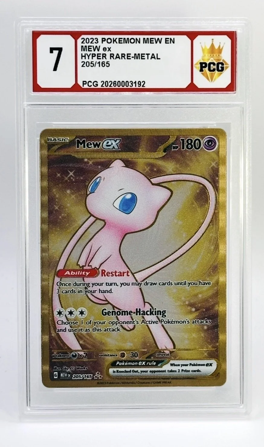 #20260003192 2023 MEW EX 7