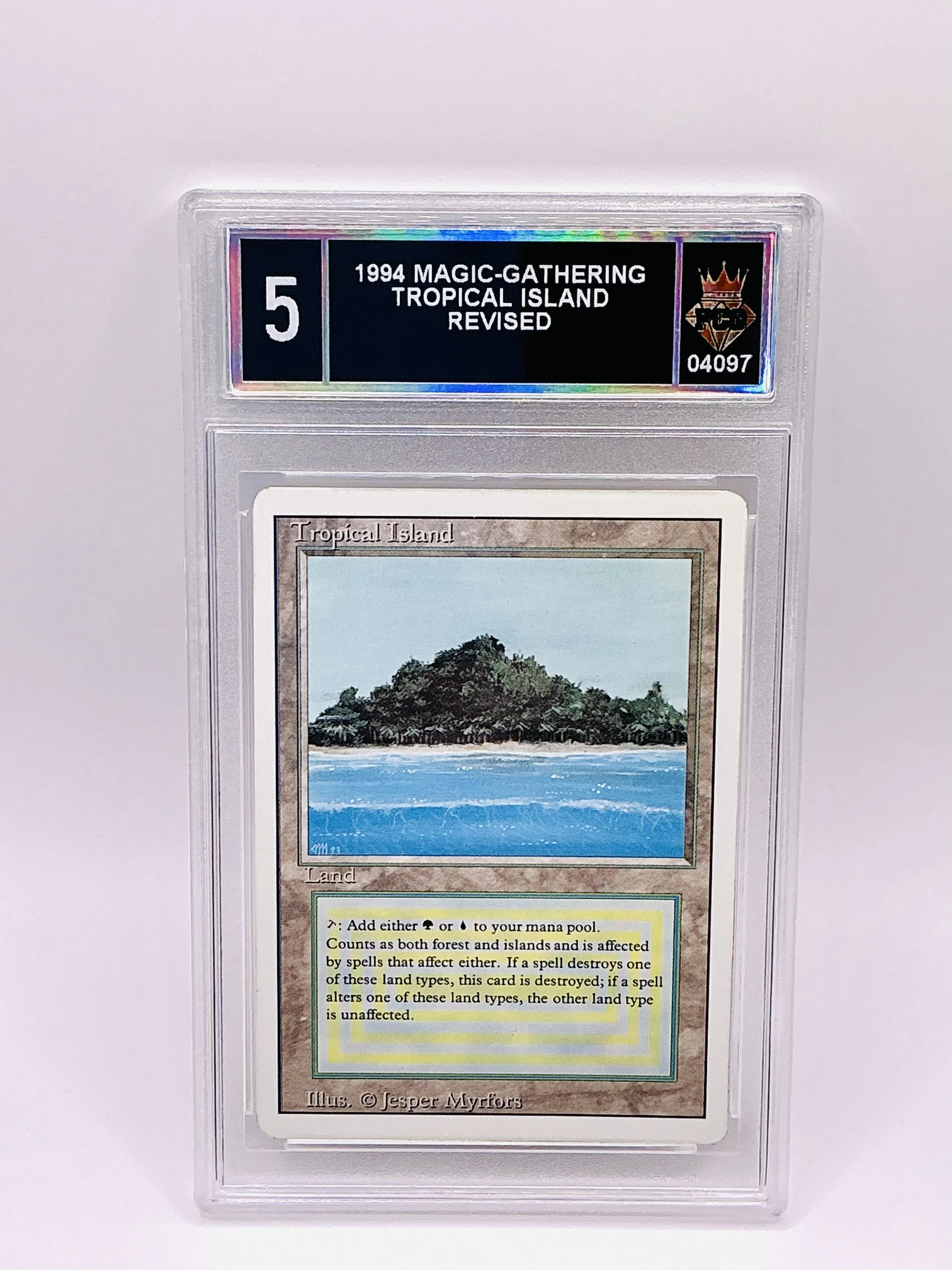 #20260004097 1994 TROPICAL ISLAND 5
