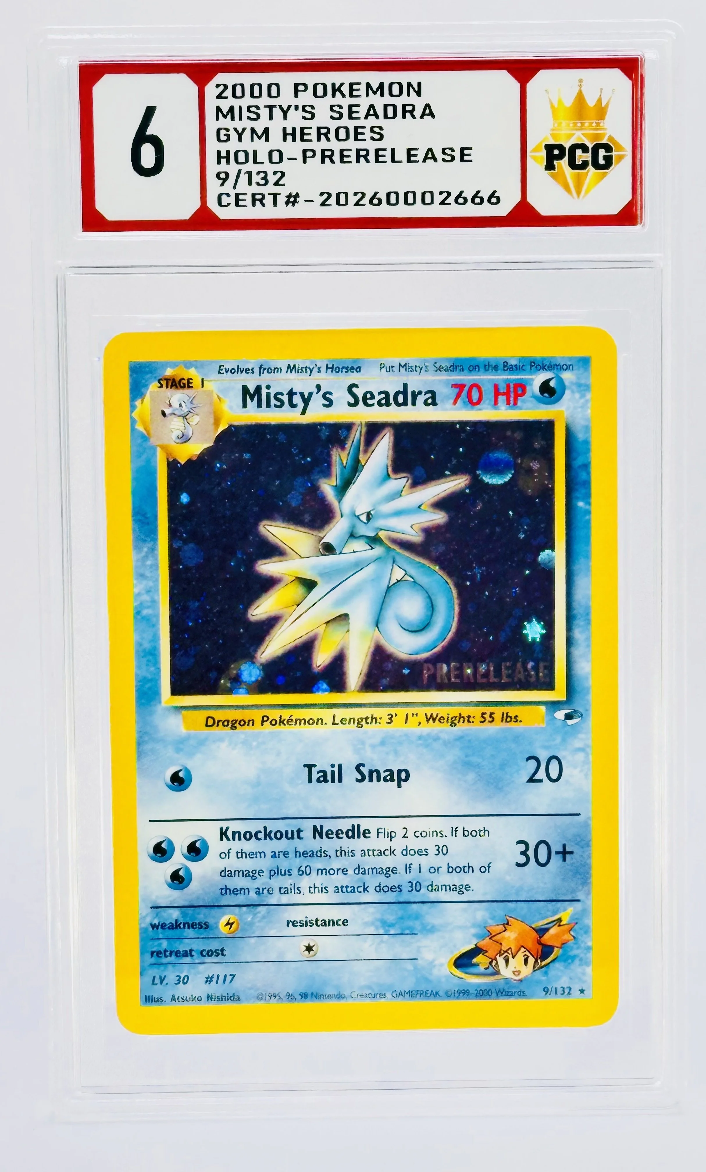 #20260002666 2000 MISTY'S SEADRA 6