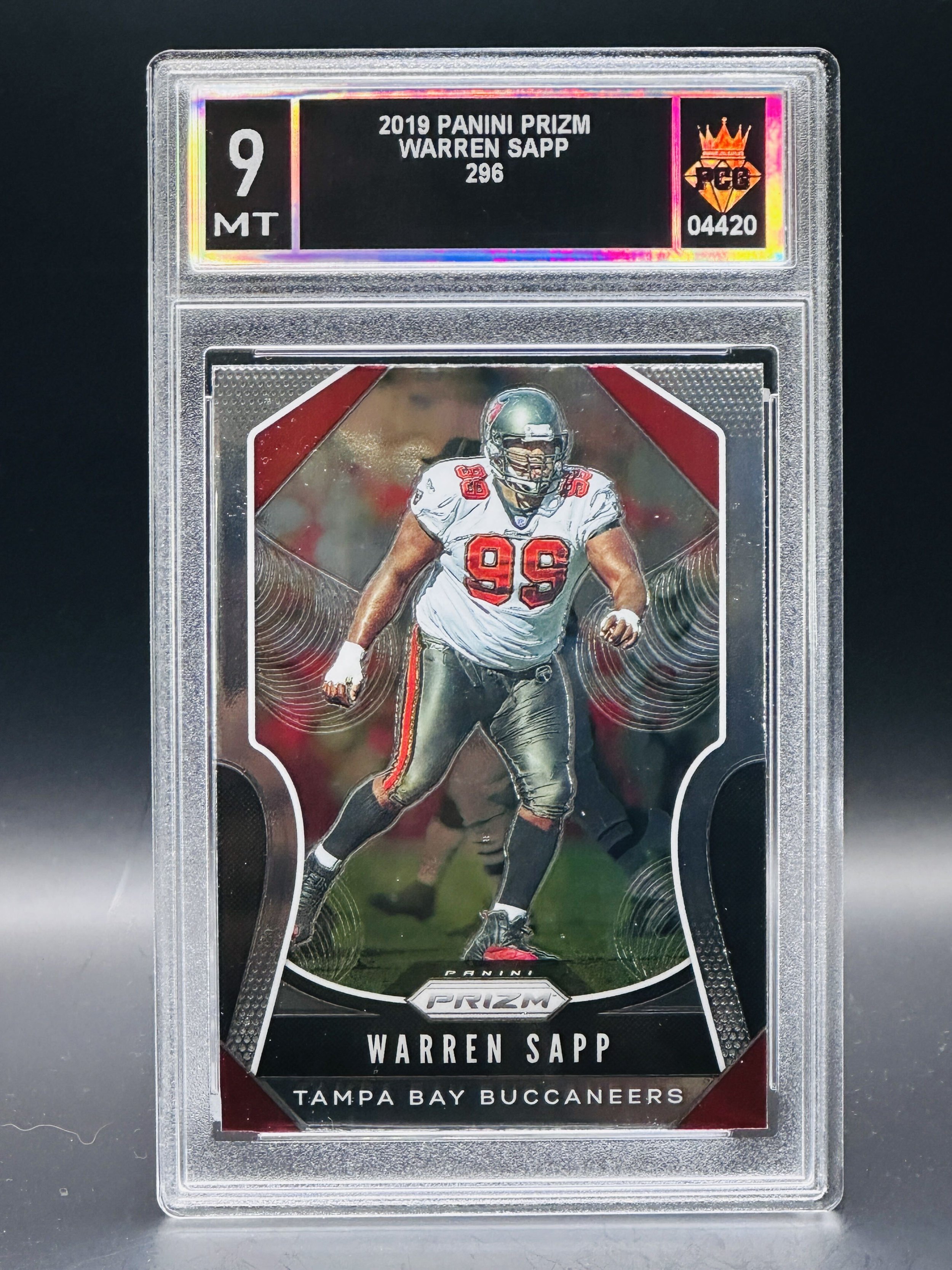 #04420 2019 WARREN SAPP 9 MT