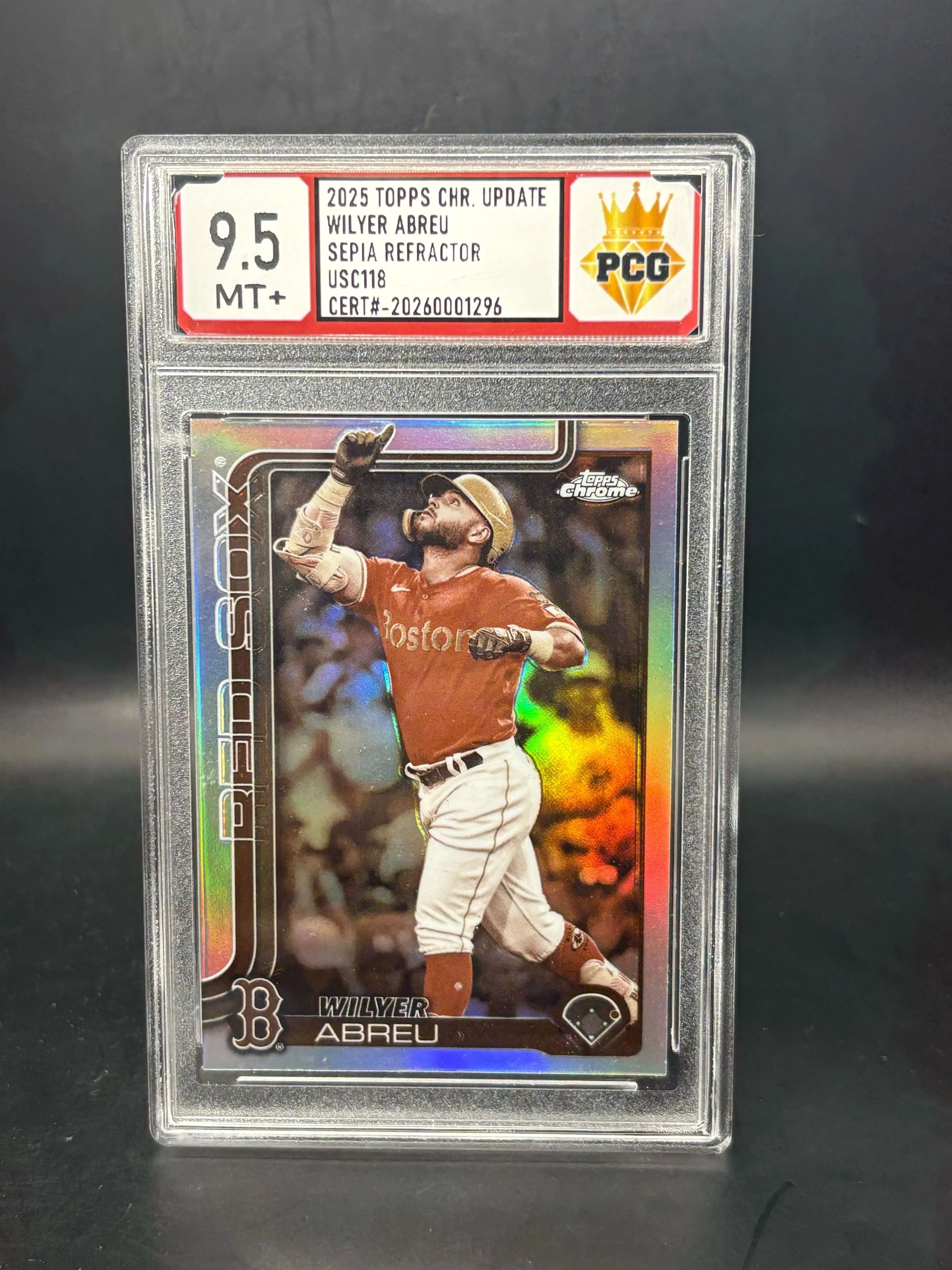 #20260001296 2025 WILYER ABREU 9.5 MT