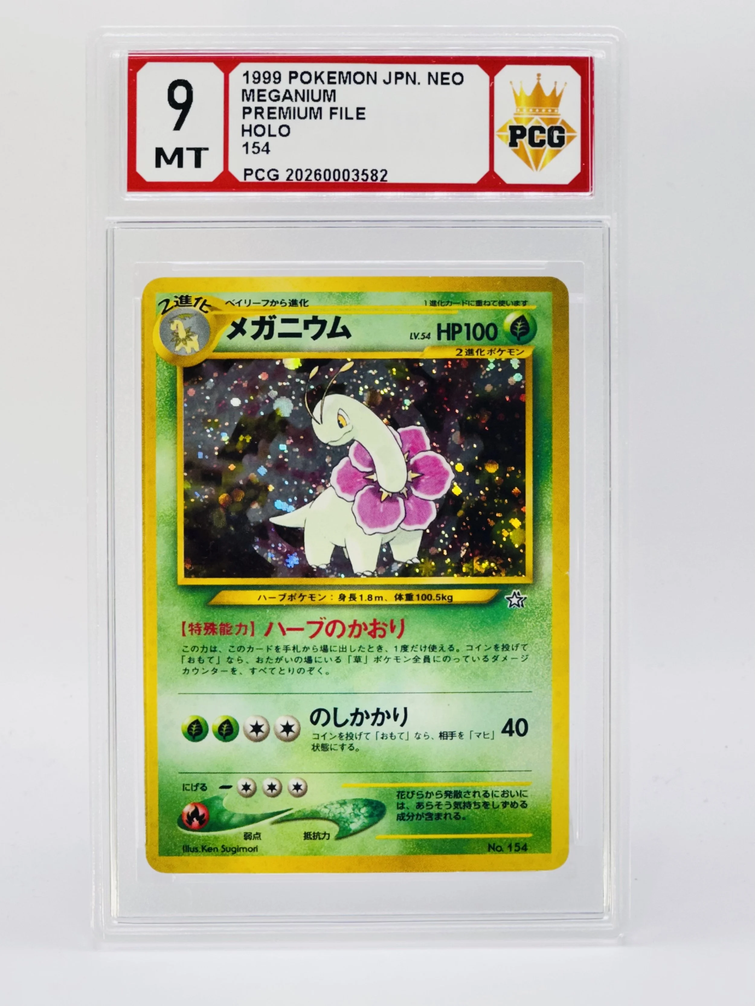#20260003582 1999 MEGANIUM 9 MT