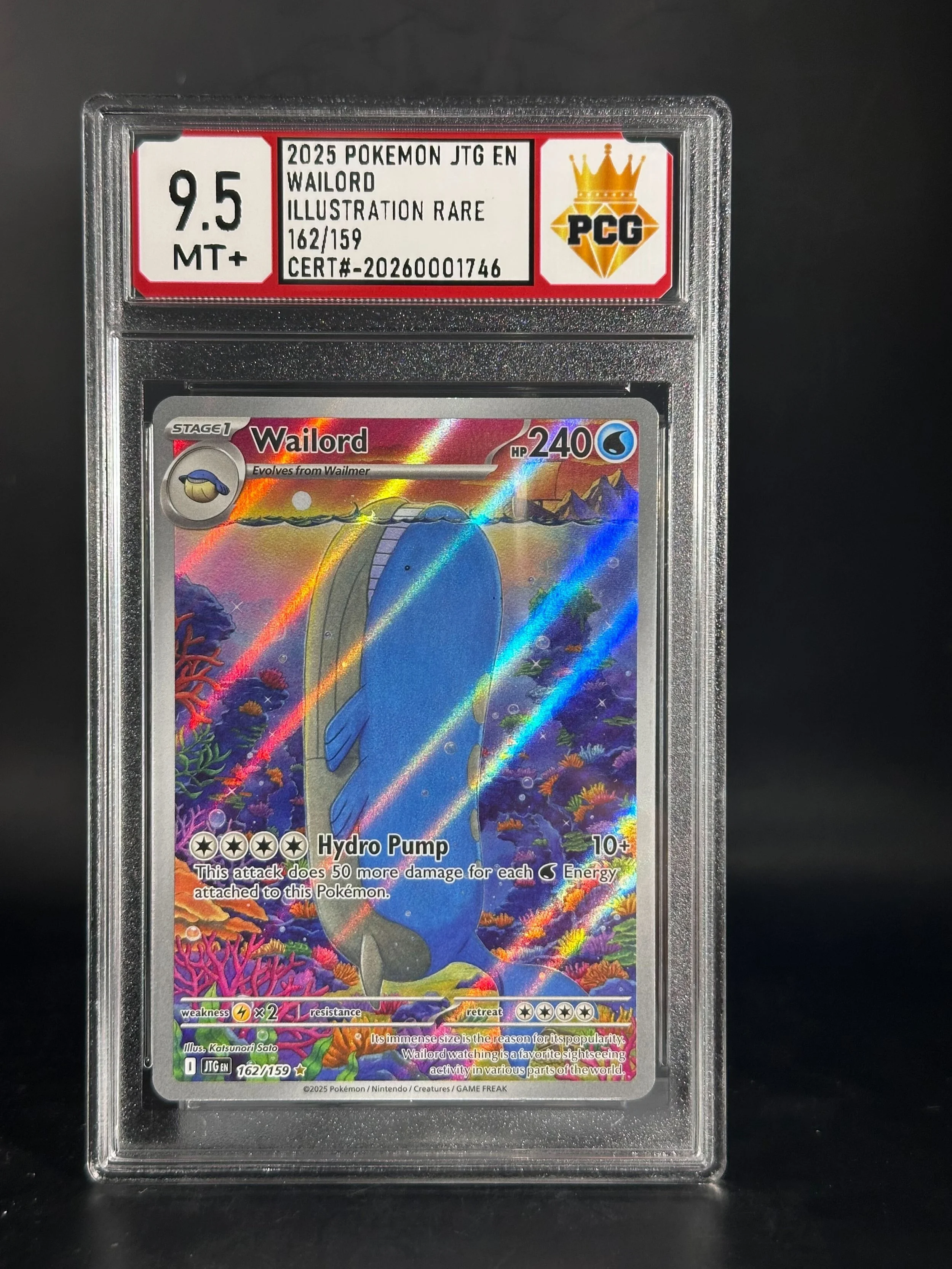 #20260001746 2025 WAILORD 9.5 MT+