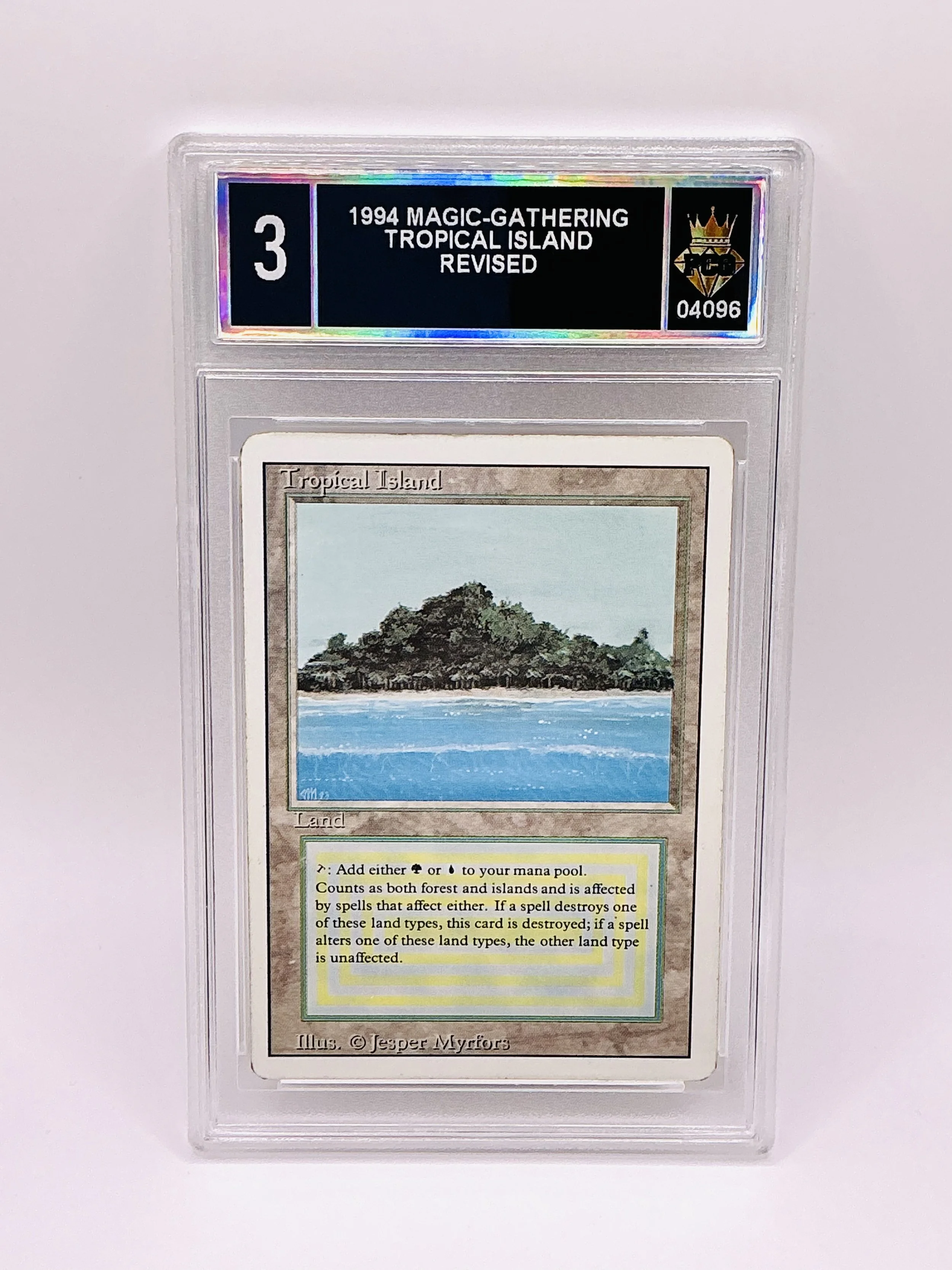 #20260004096 1994 TROPICAL ISLAND 3