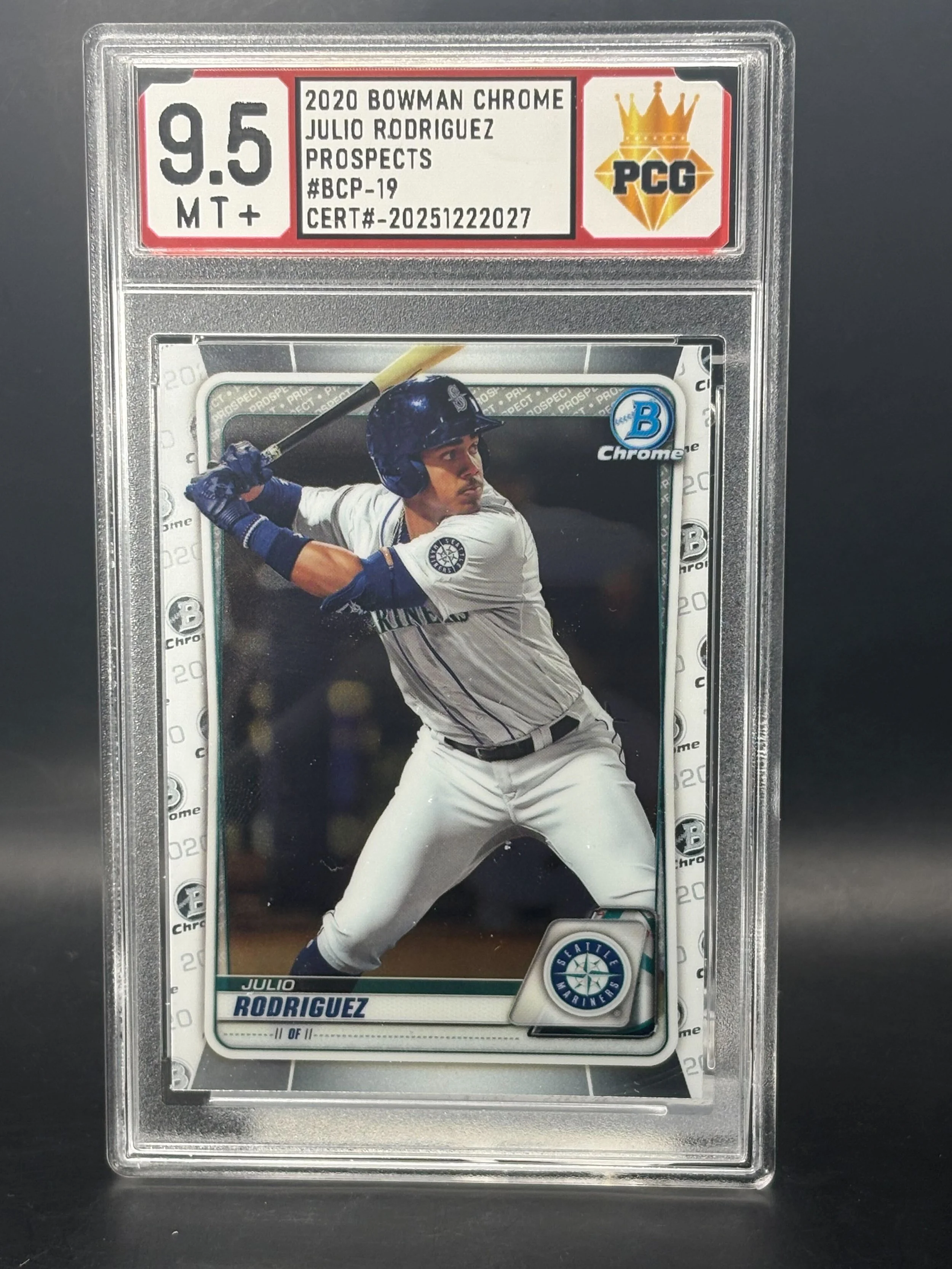 #20251222027 2020 JULIO RODRIGUEZ 9.5 MT+