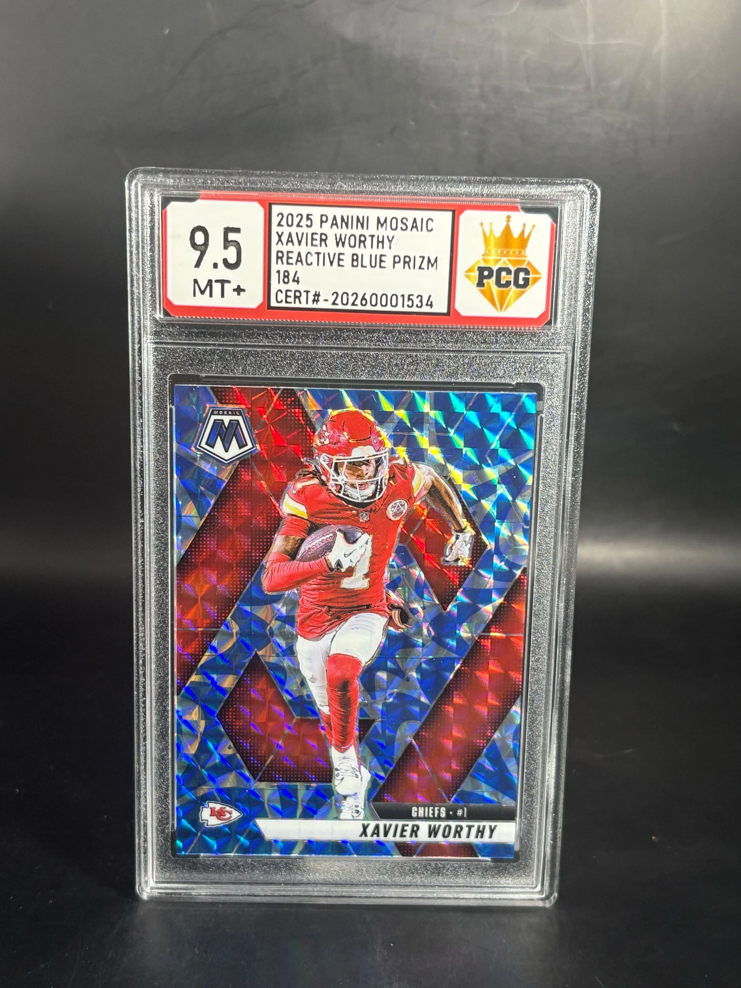 #20260001534 2025 XAVIER WORTHY 9.5 MT+