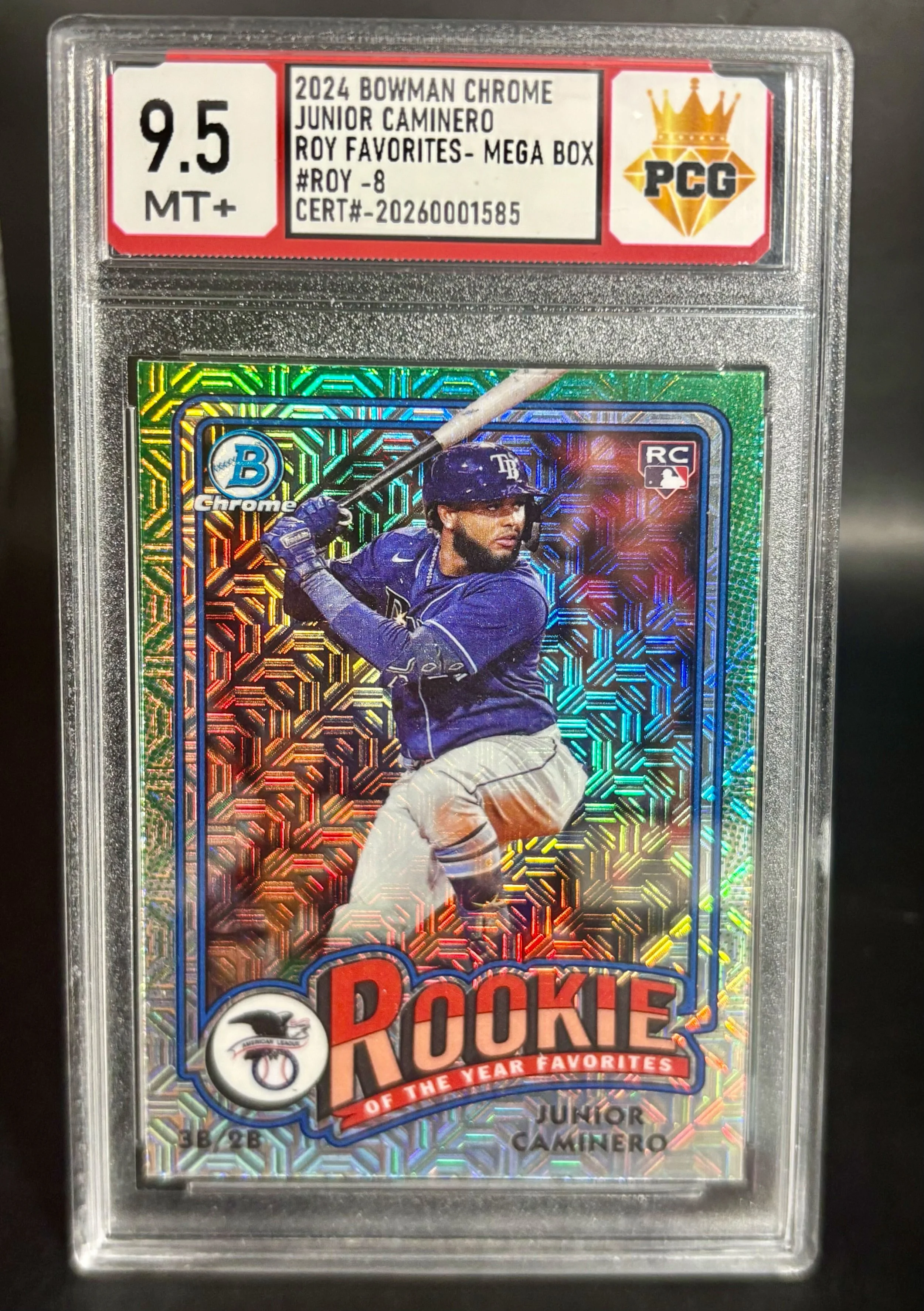 #20260001585 2024 JUNIOR CAMINERO 9.5 MT+