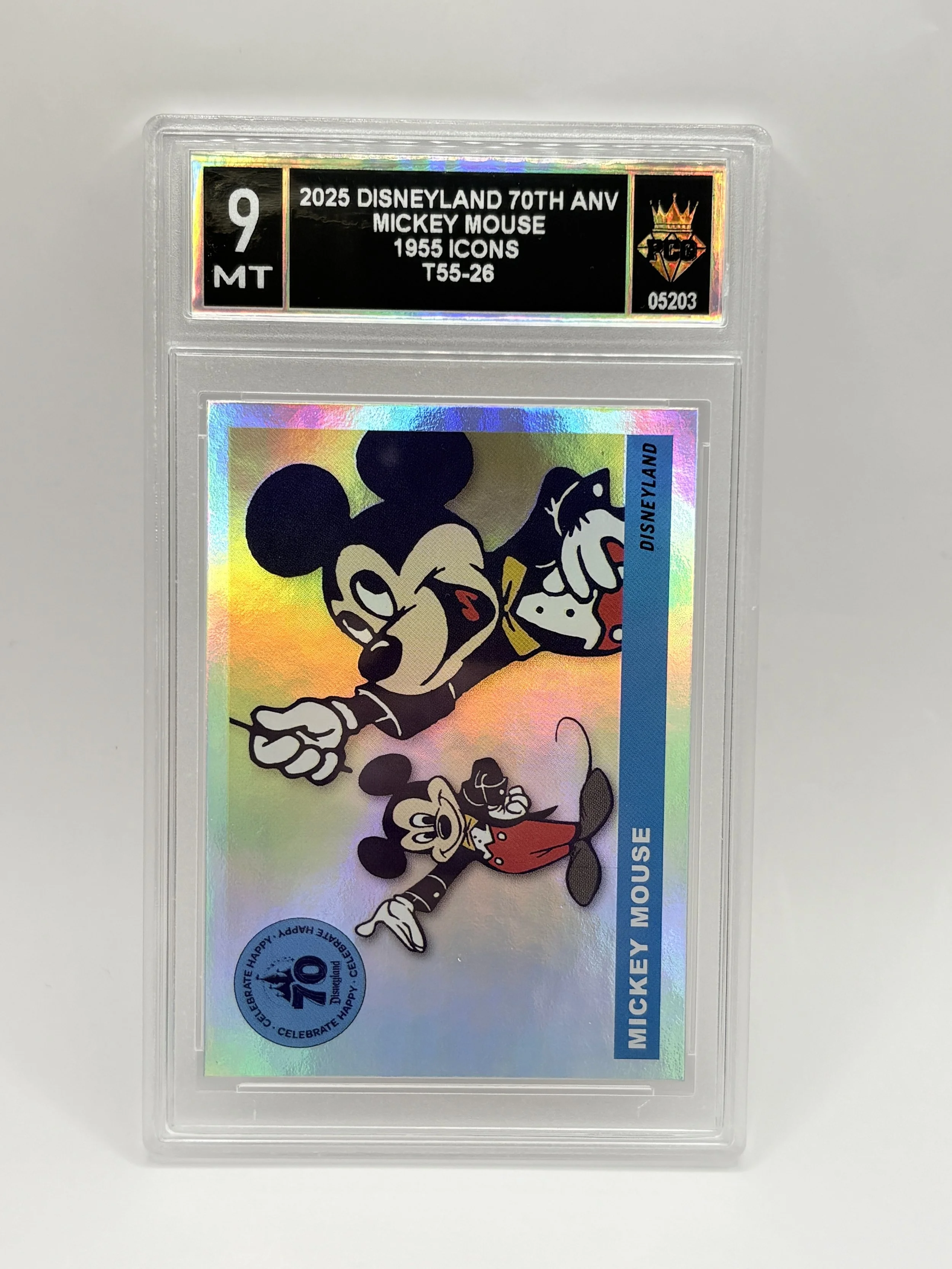 #20260005203 2025 MICKEY MOUSE 9 MT