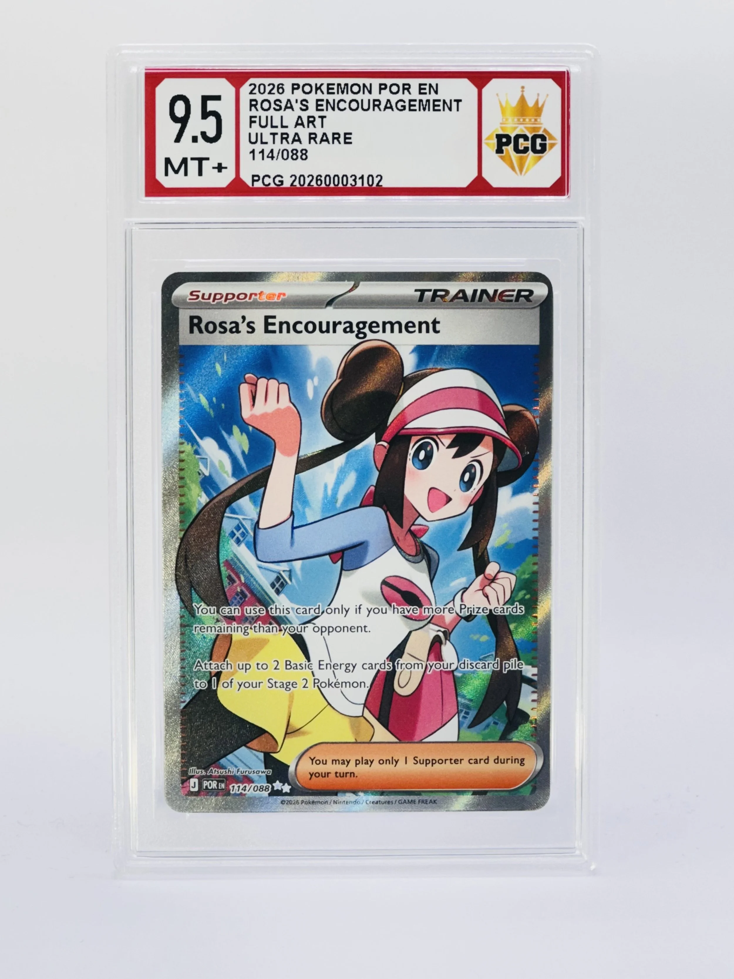 #20260003102 2026 ROSA'S ENCOURAGEMENT 9.5 MT+