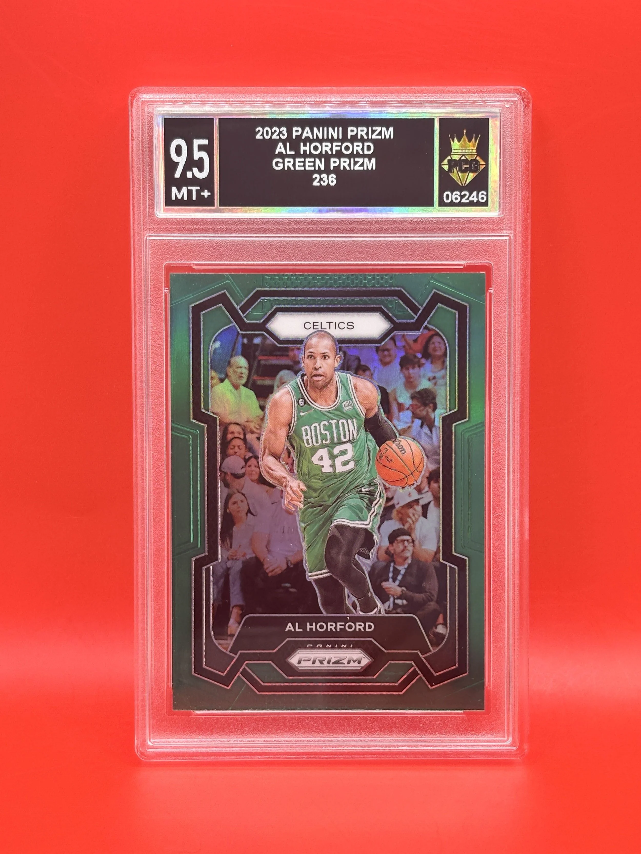 #06246 2023 AL HORFORD 9.5 MT+