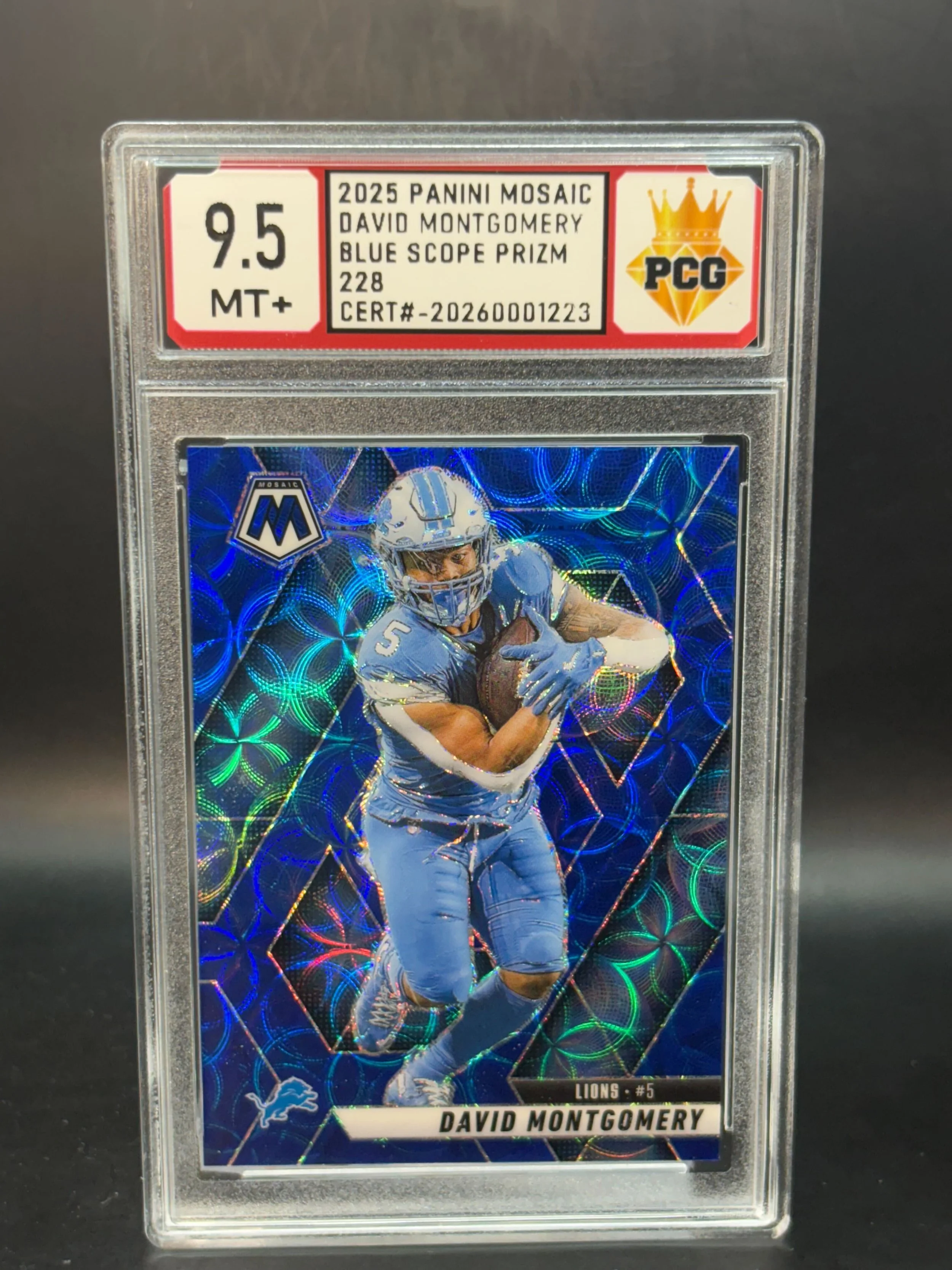 #20260001223 2025 DAVID MONTGOMERY 9.5 MT+