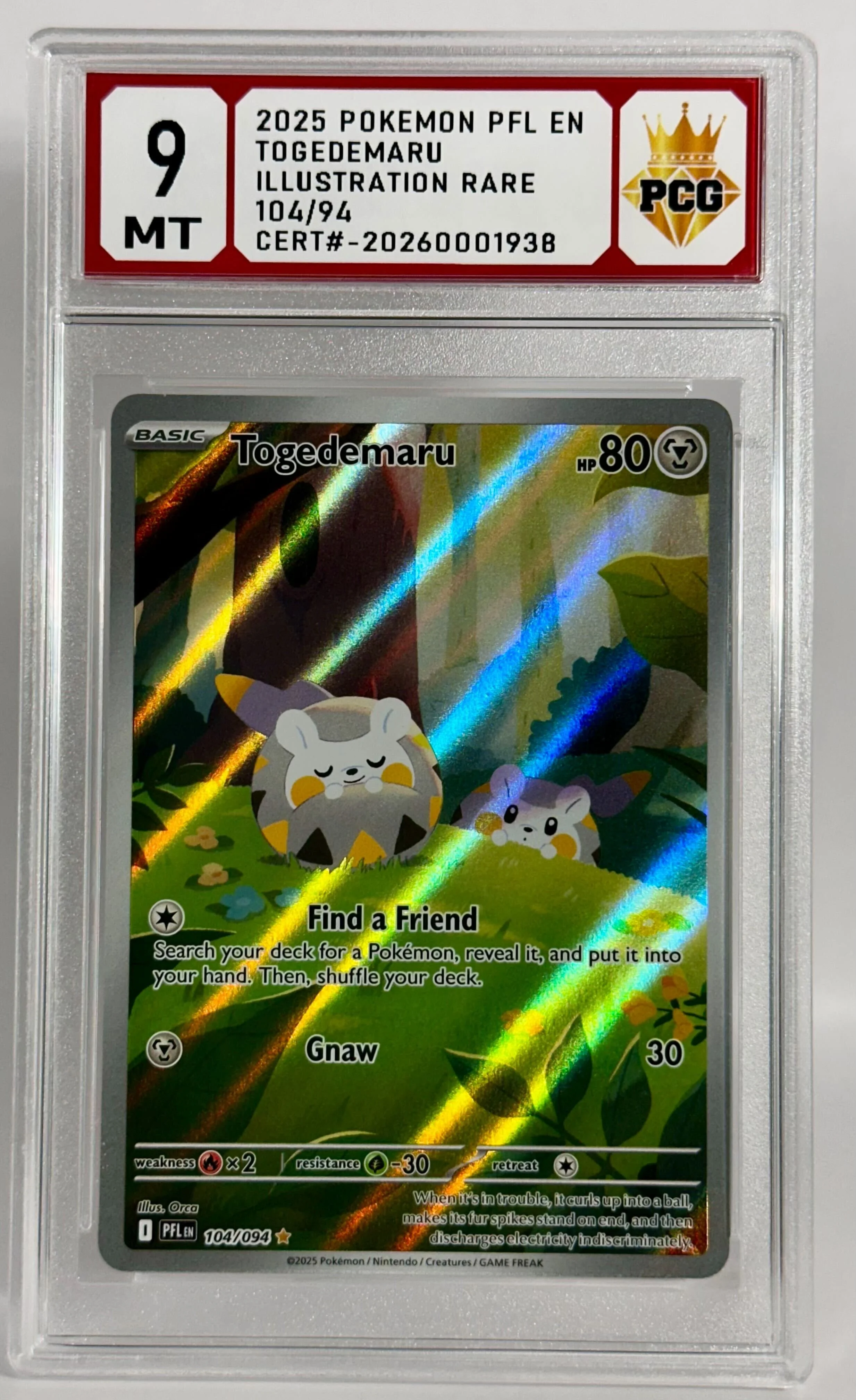 #20260001938 2025 TOGEDEMARU 9 MT