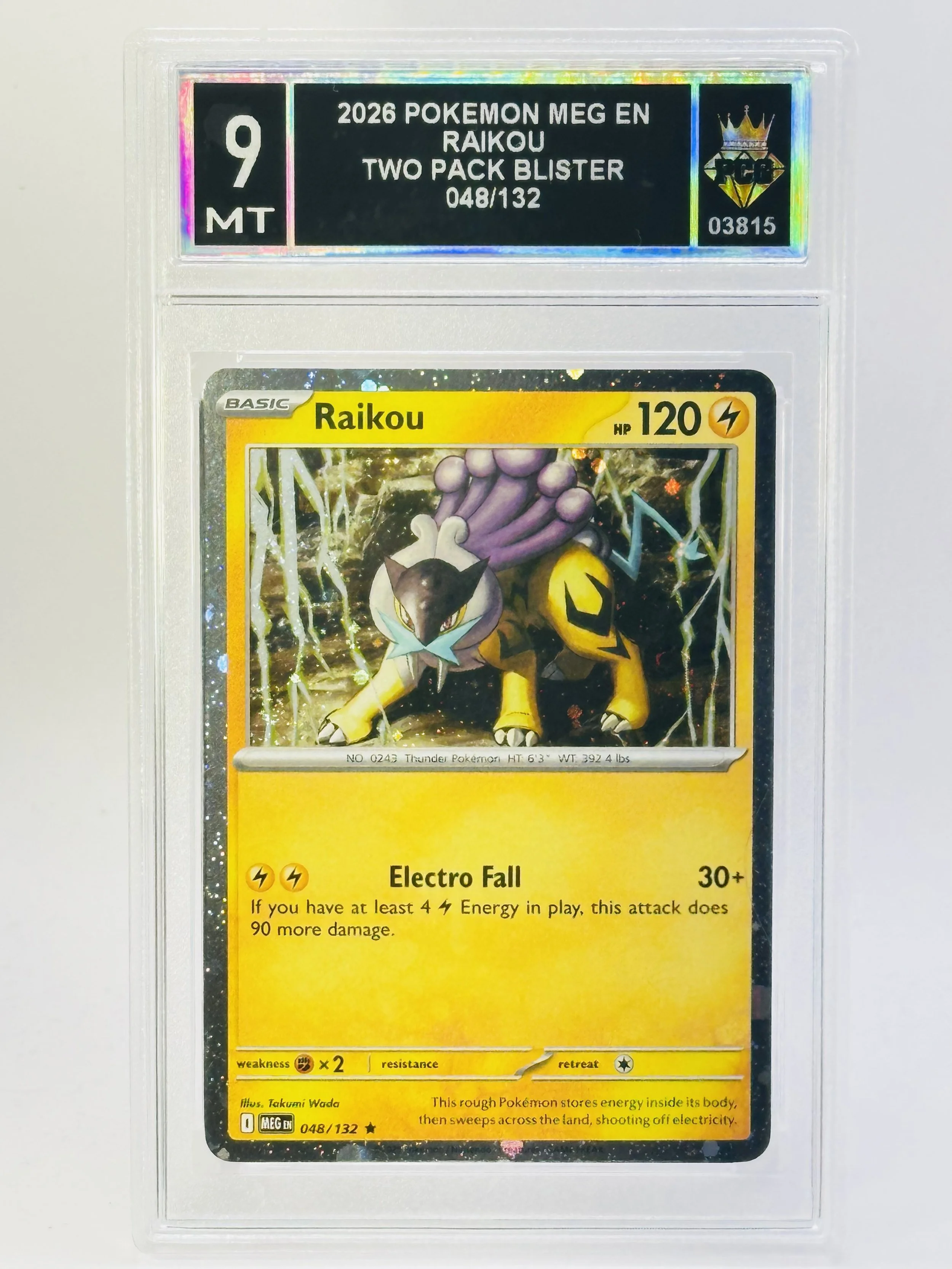 #20260003815 2026 RAIKOU 9 MT